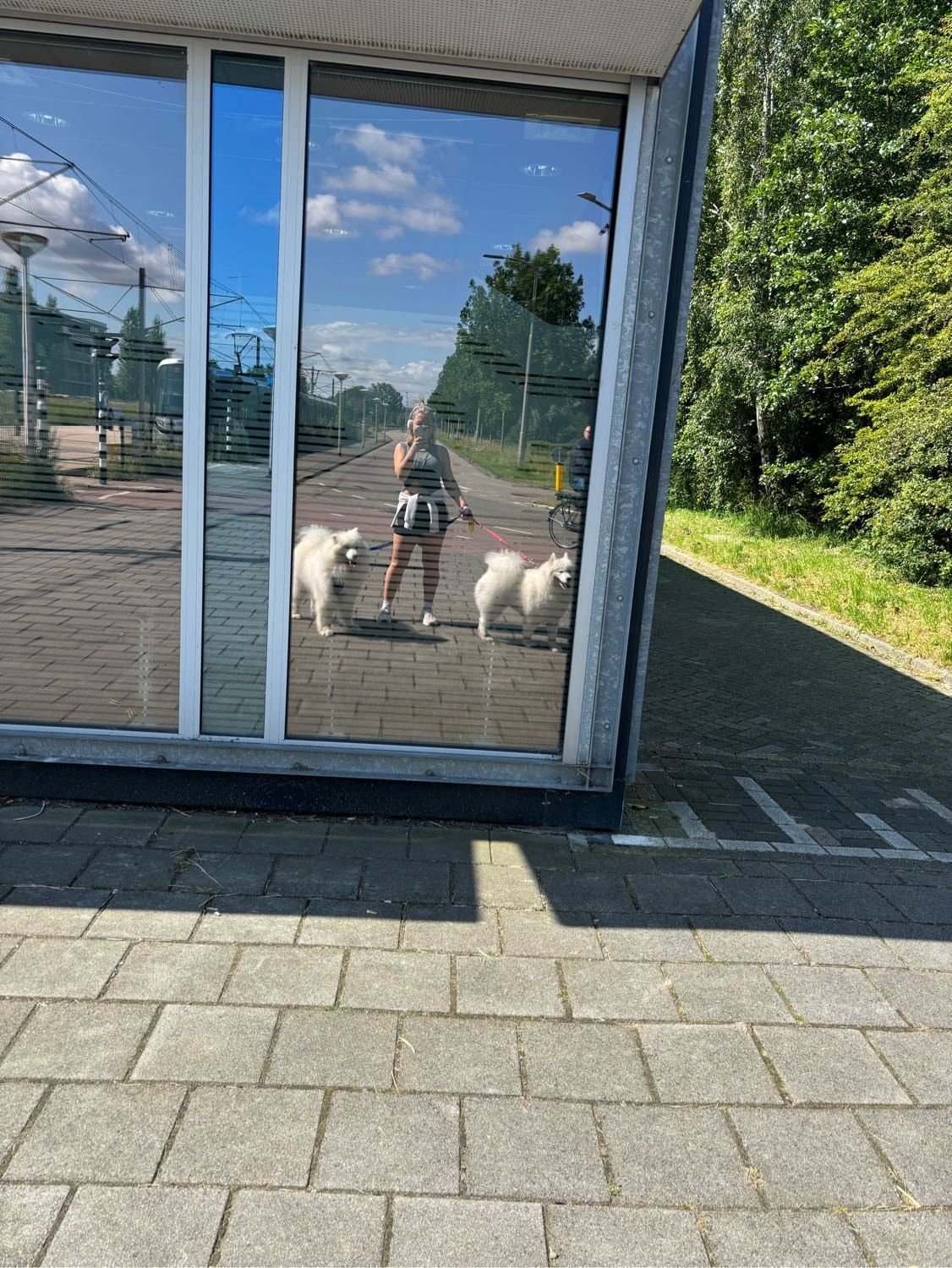 image-11
