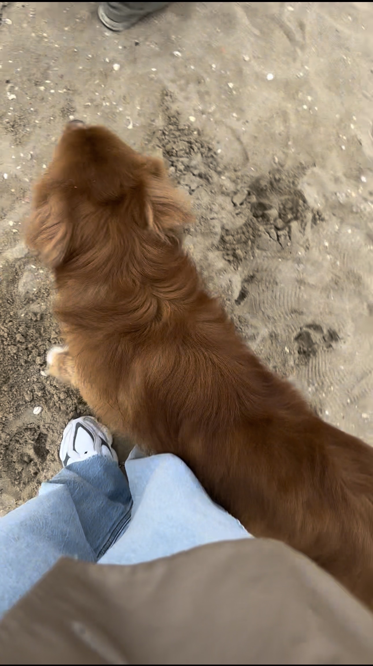 image-5