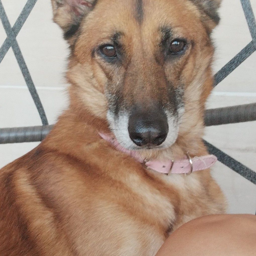 Cristina