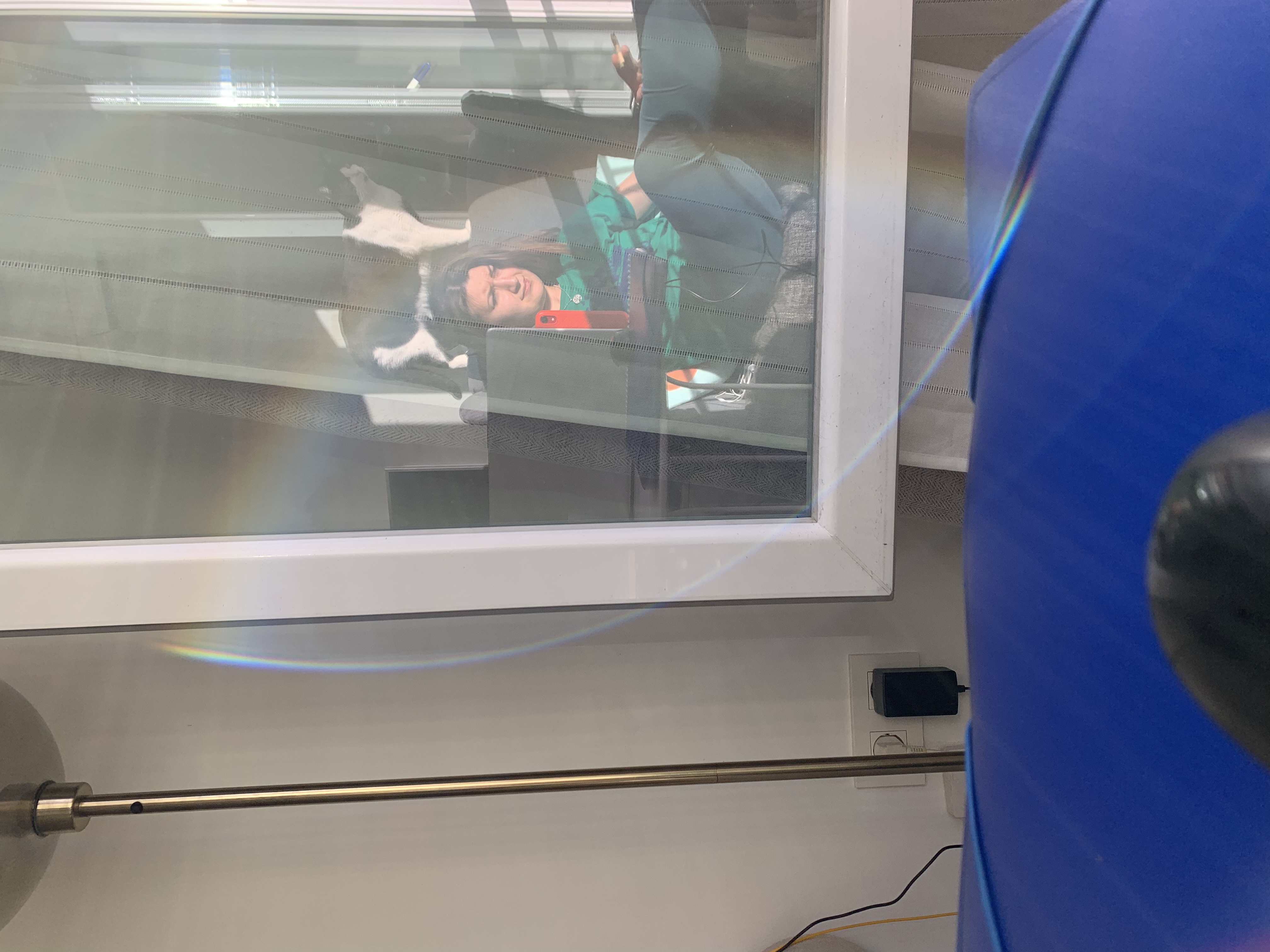 image-6