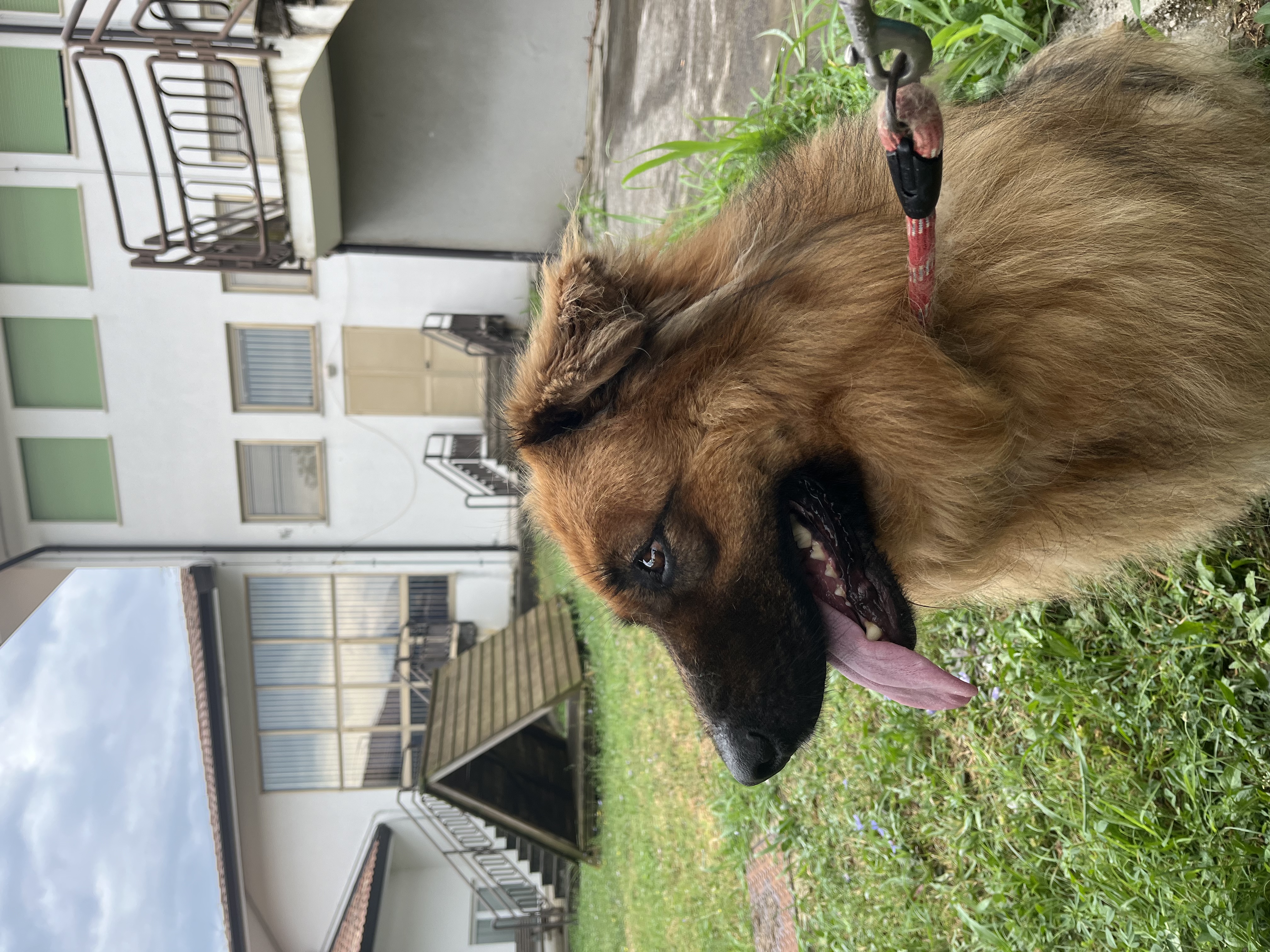 image-5