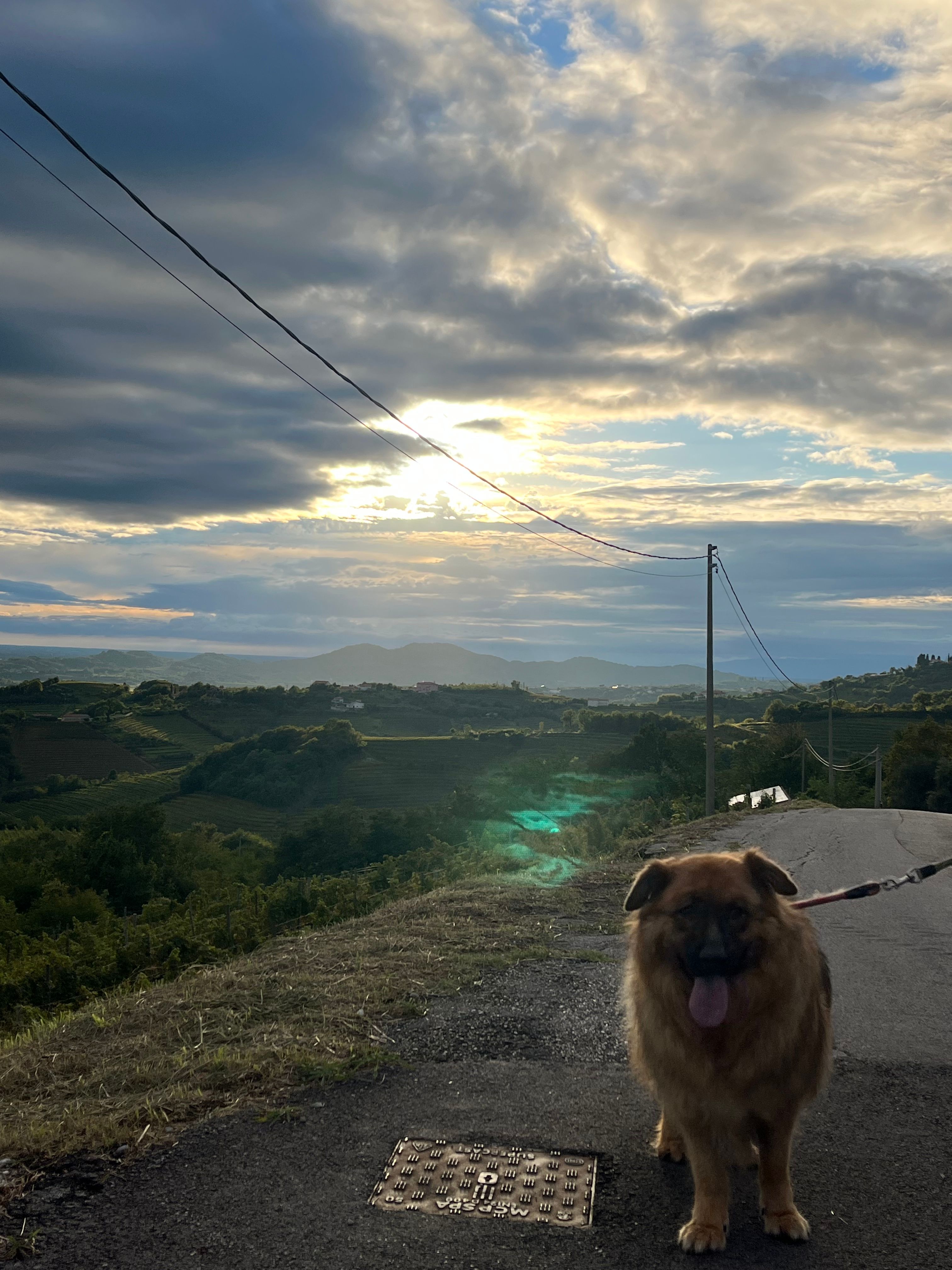 image-7
