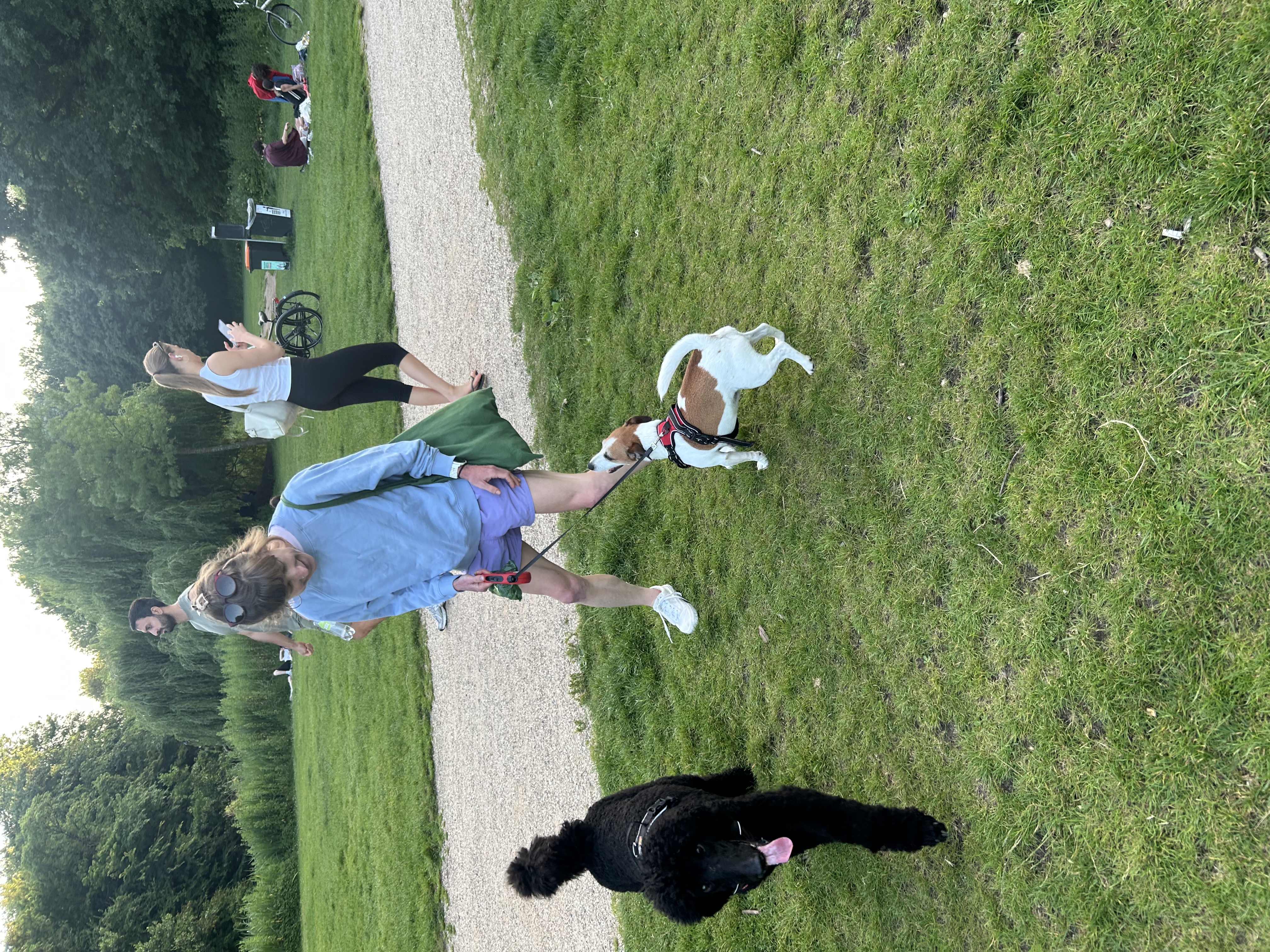 image-10