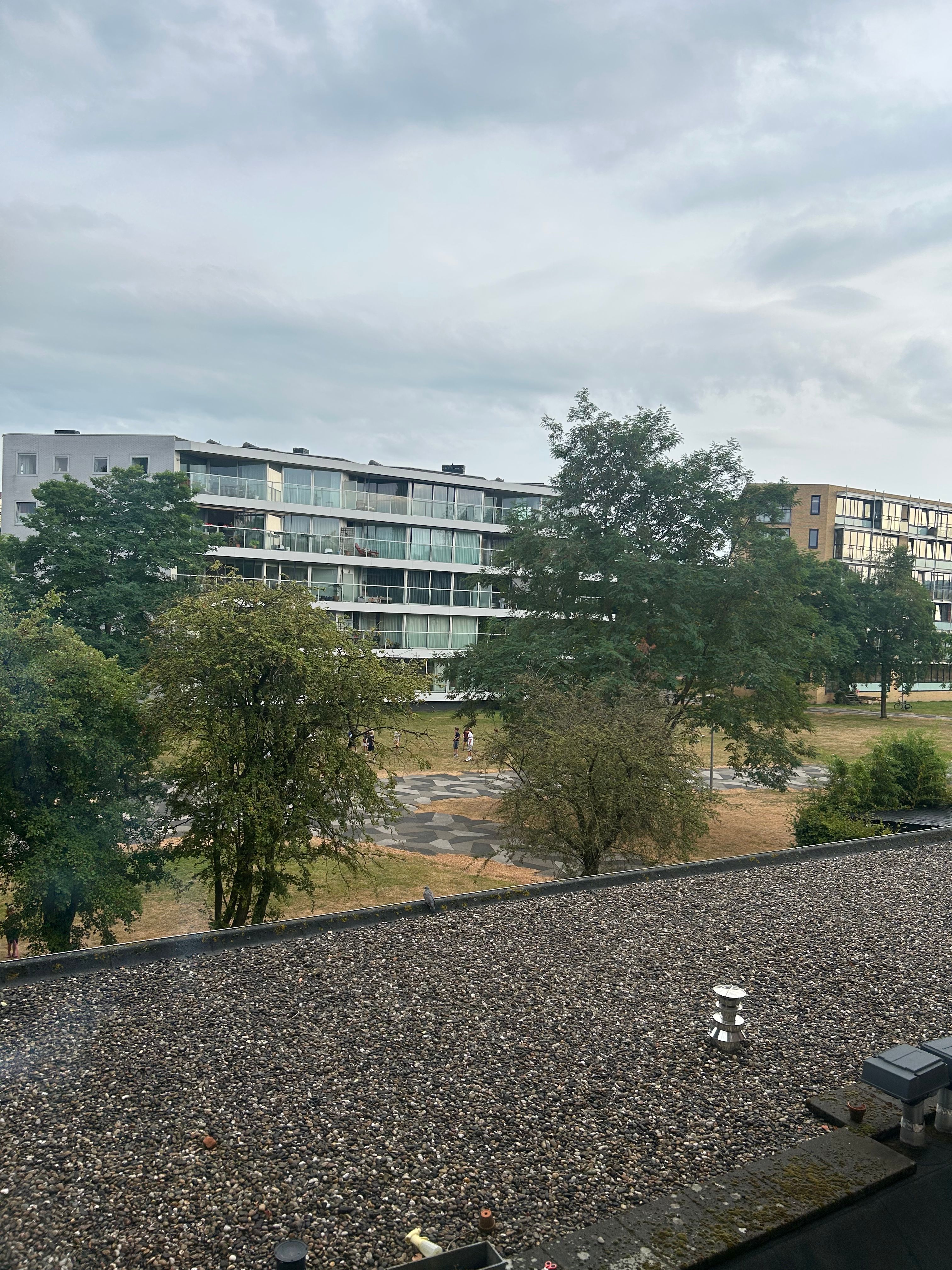 image-16