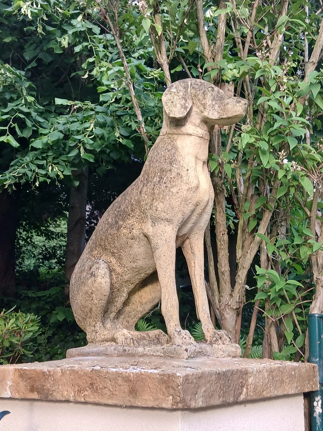 image-15