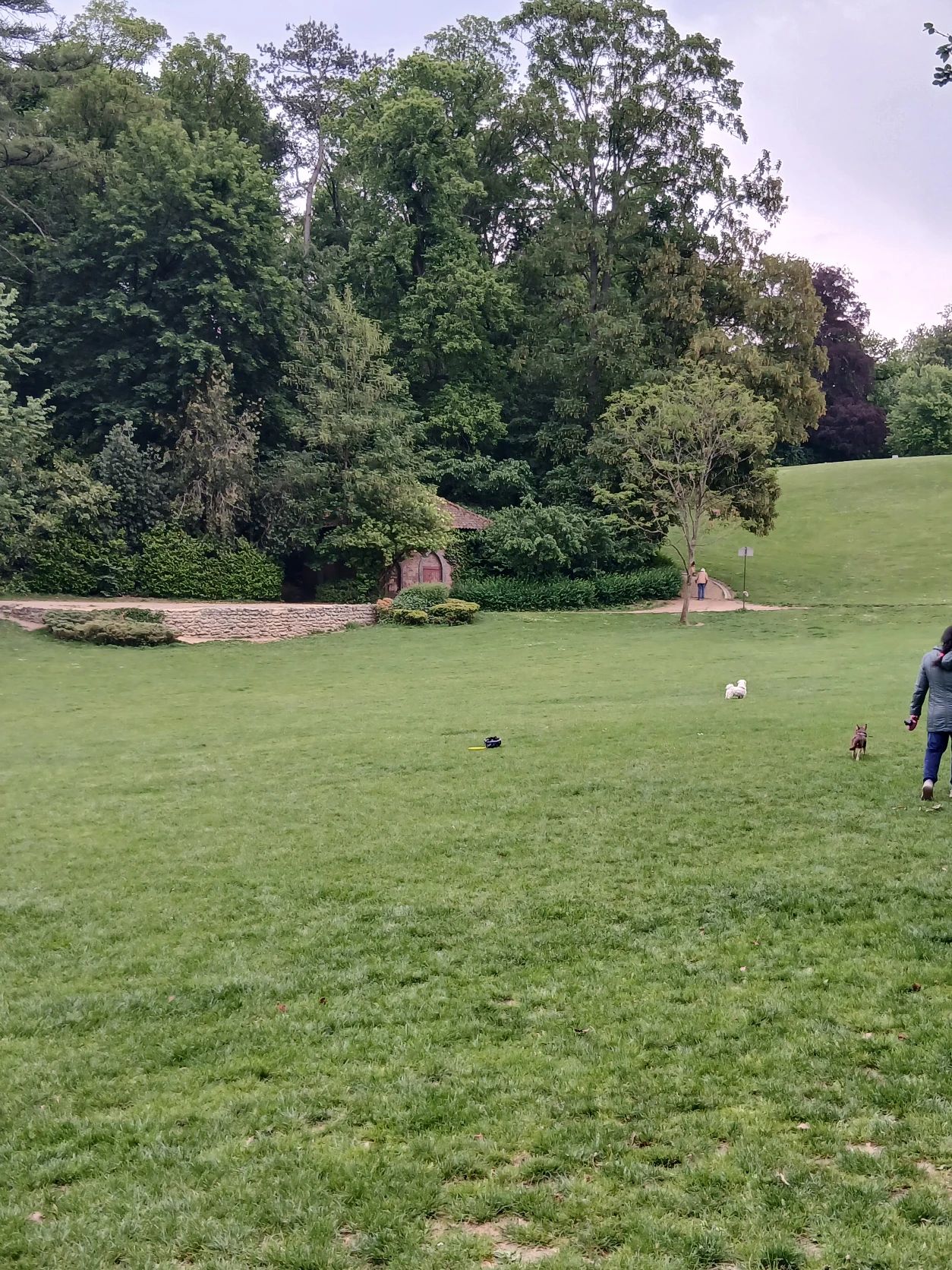 image-20