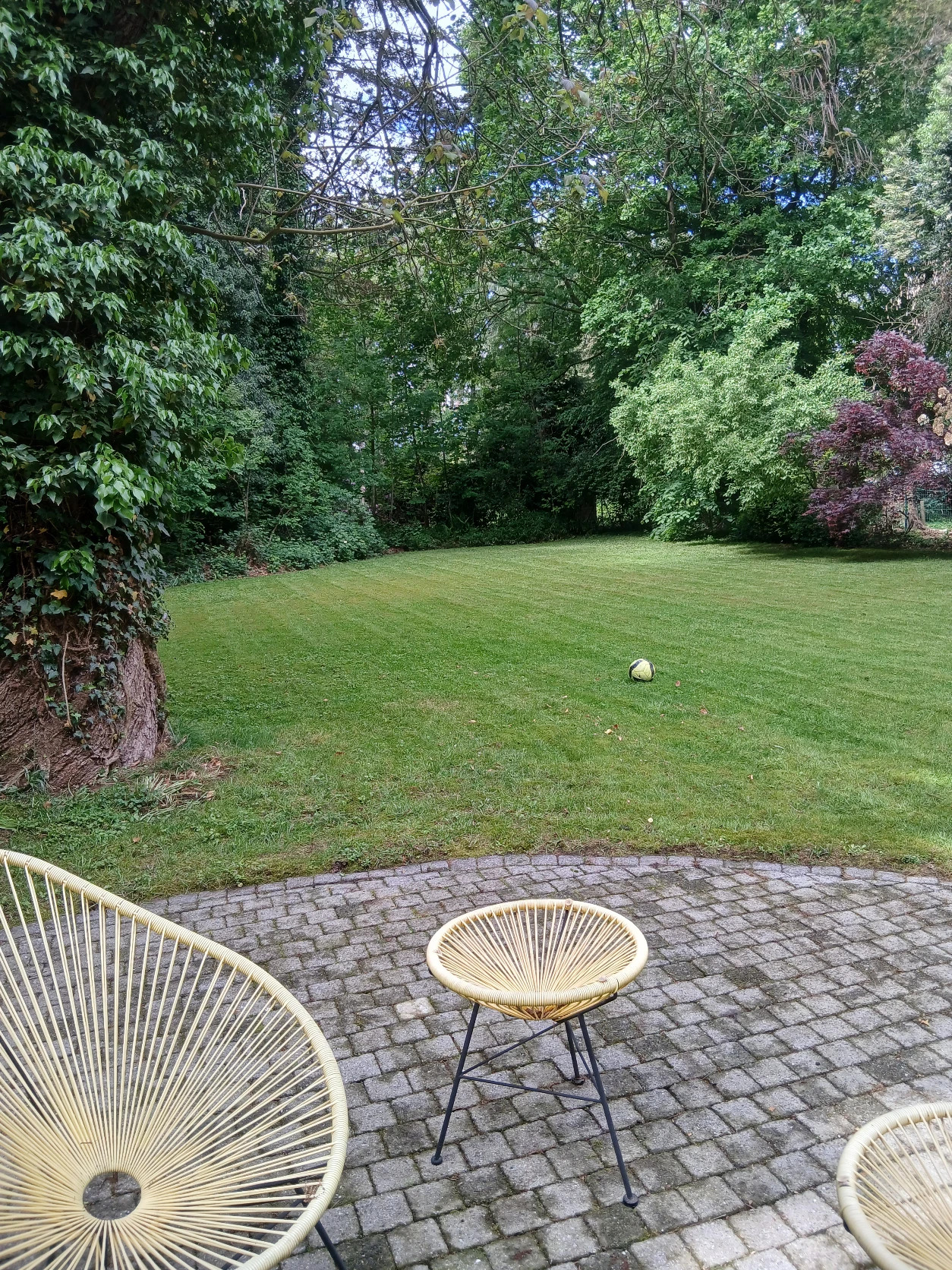 image-18