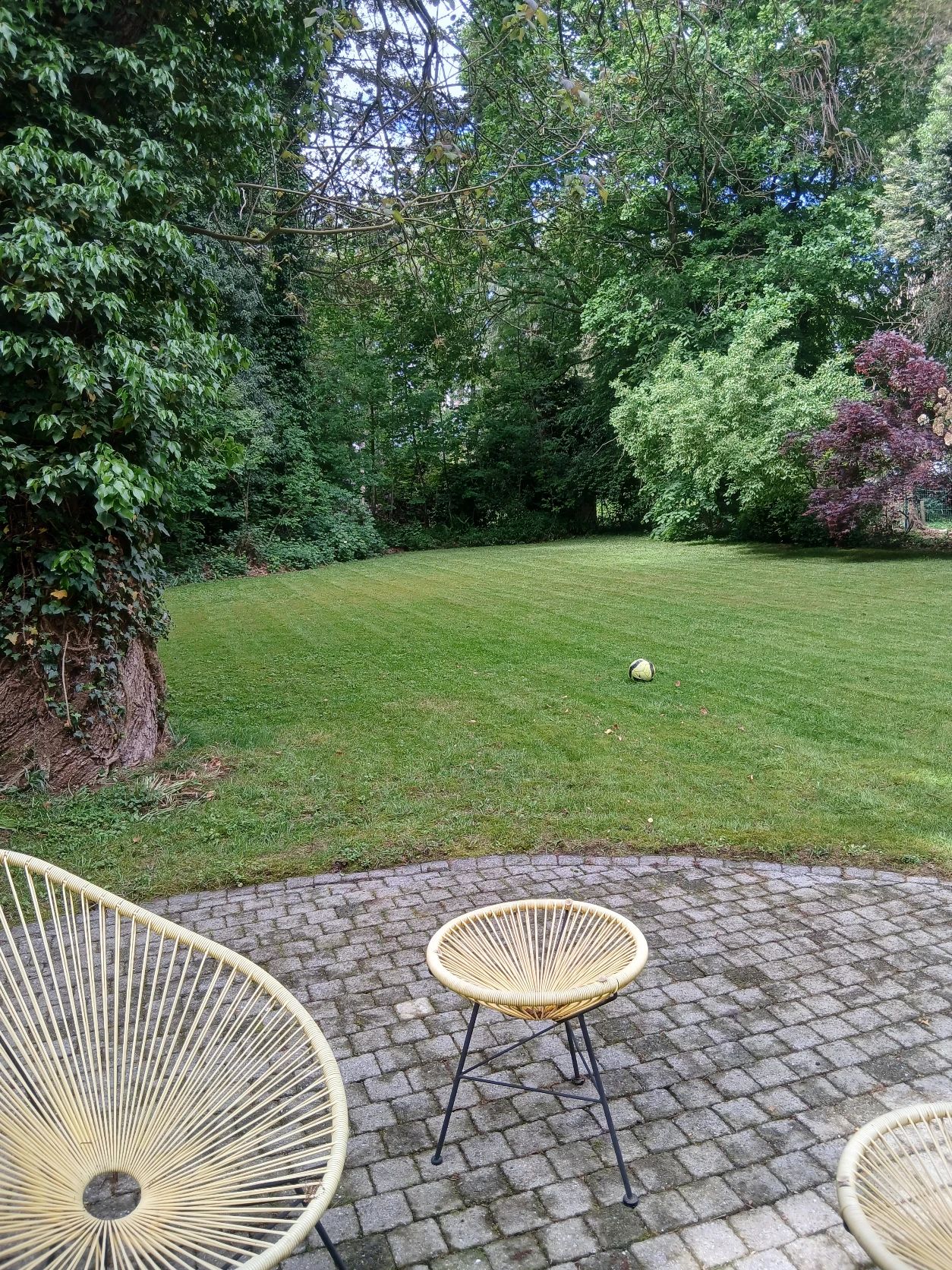 image-18