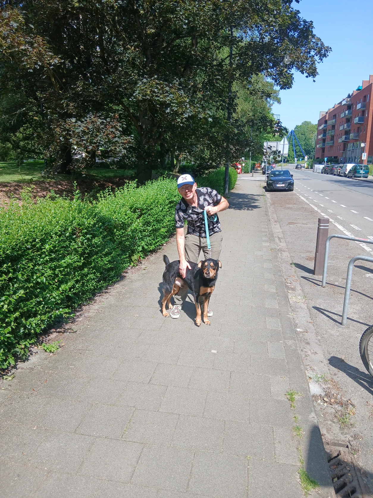 image-5
