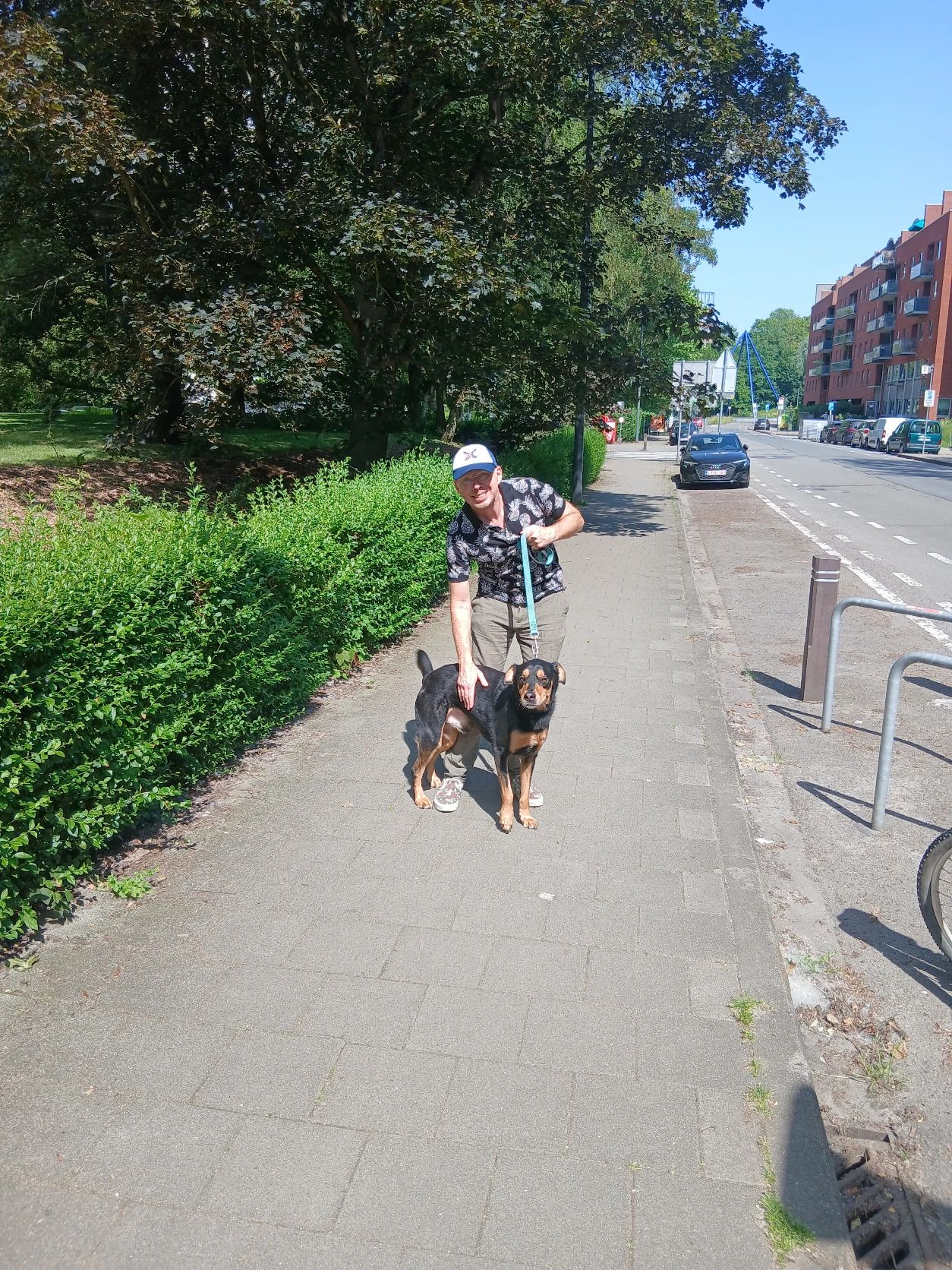 image-5