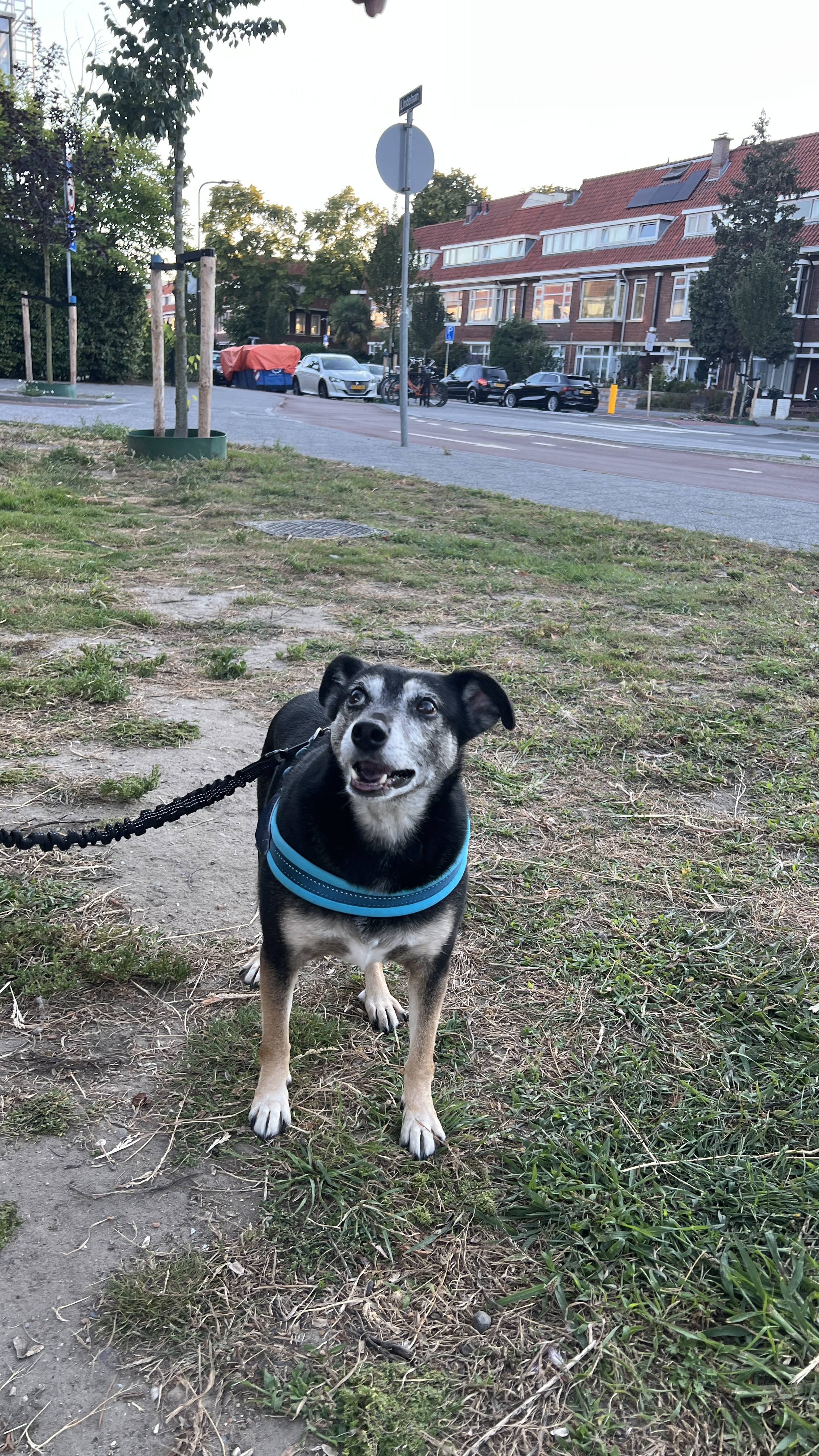 image-25
