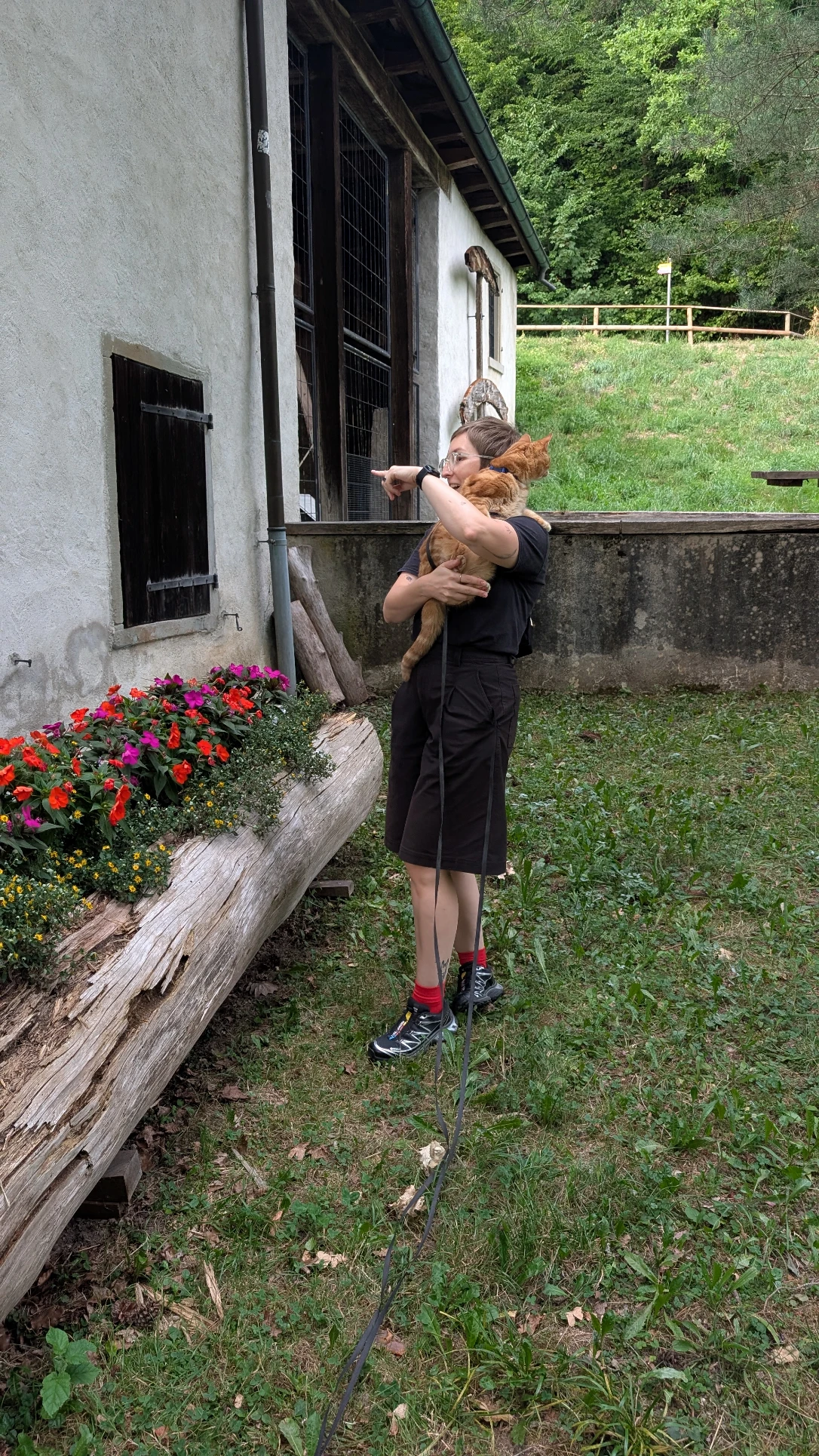 image-7