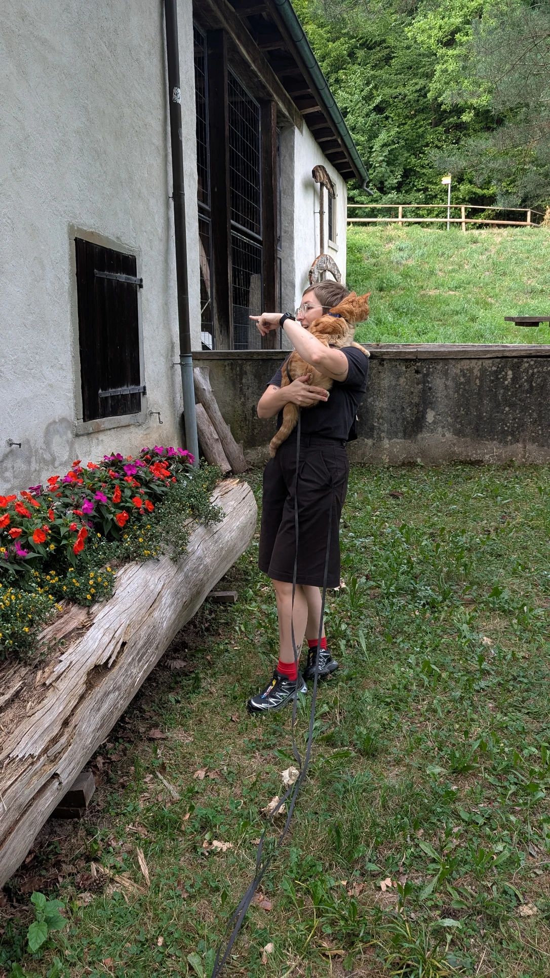 image-7