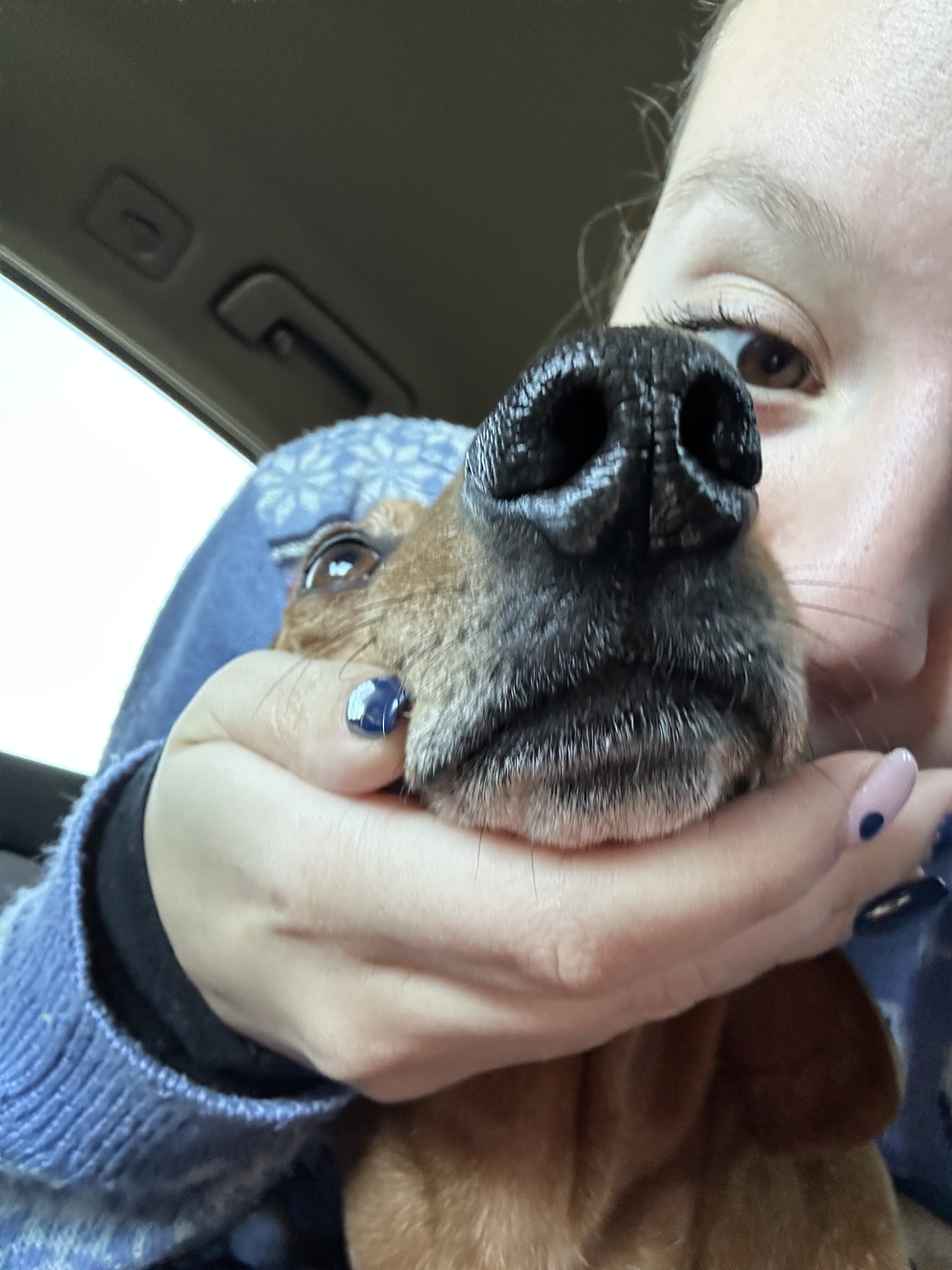 image-3