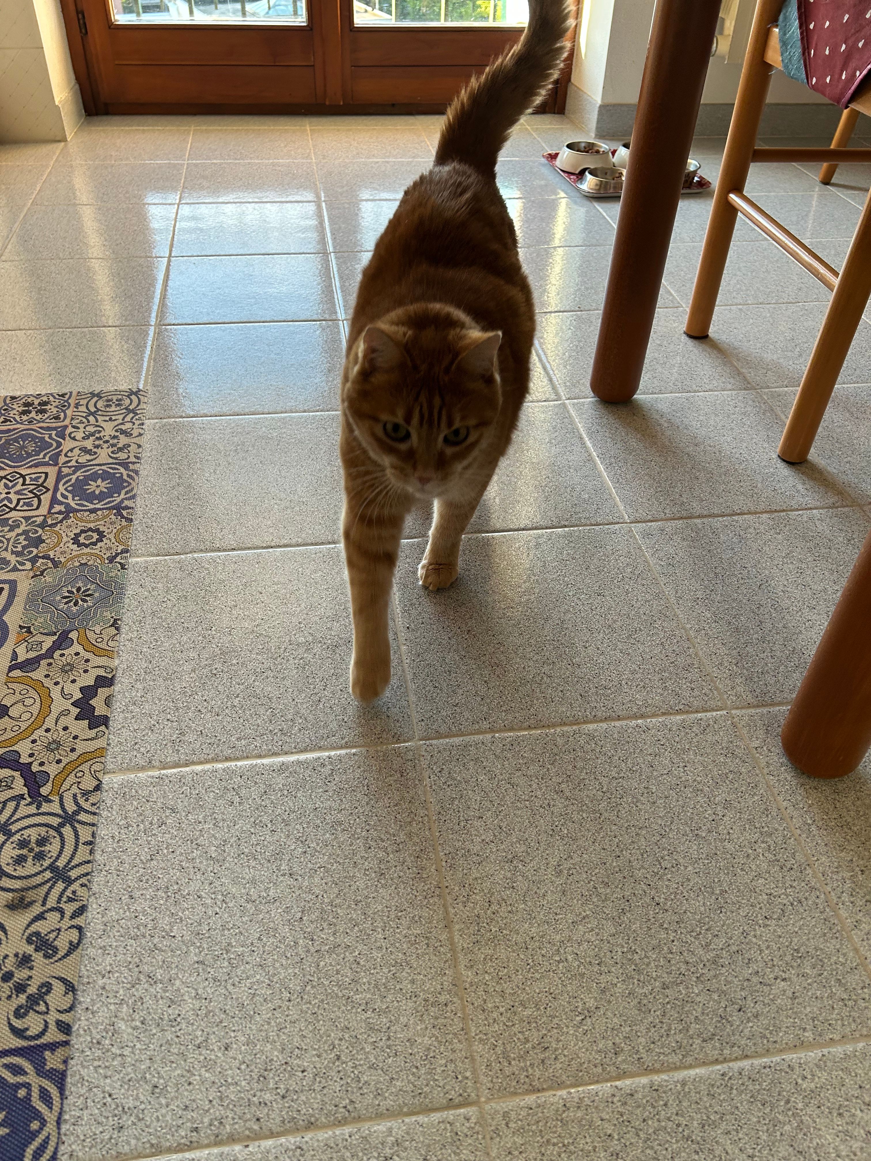 image-6