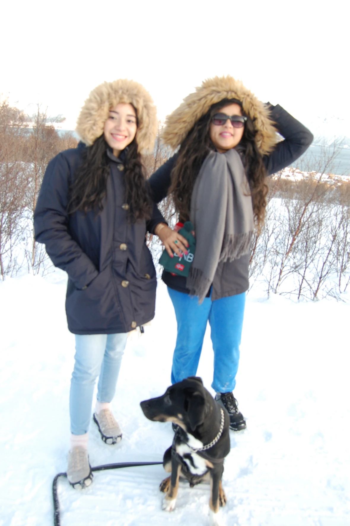 image-6