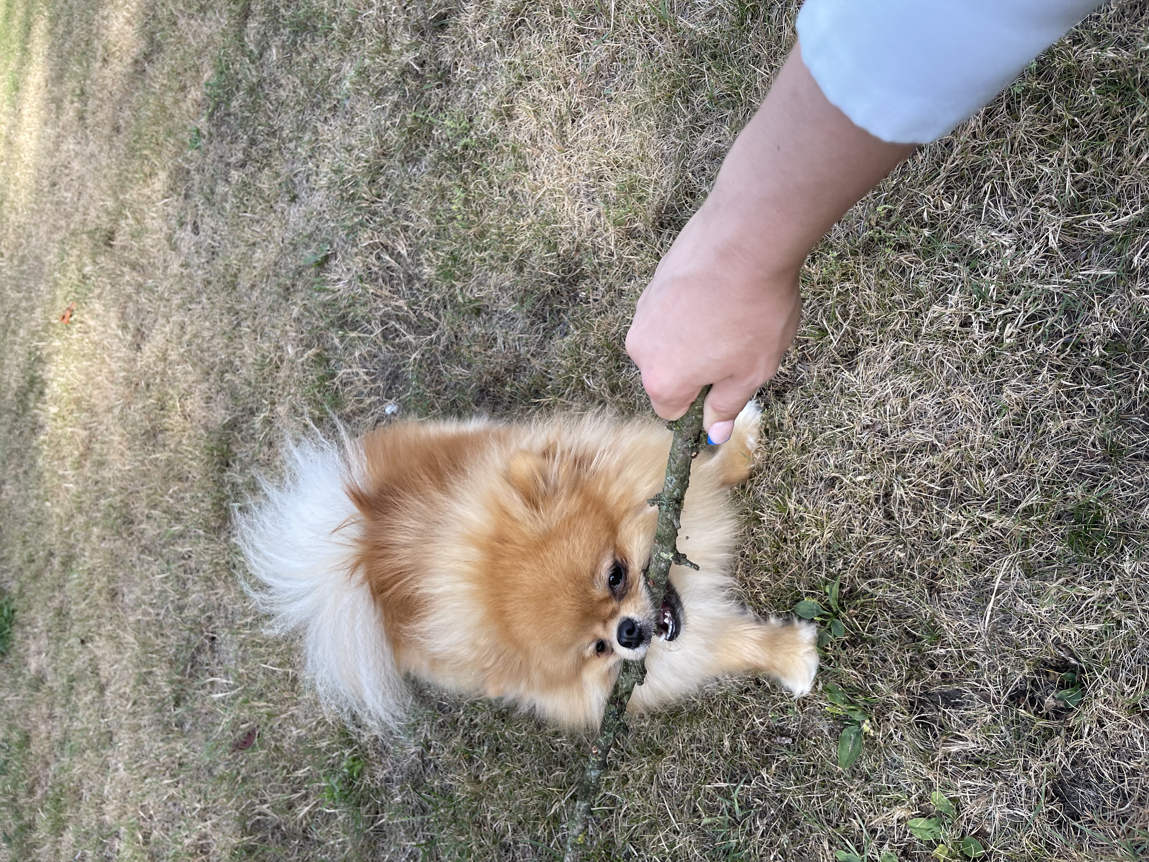 image-15