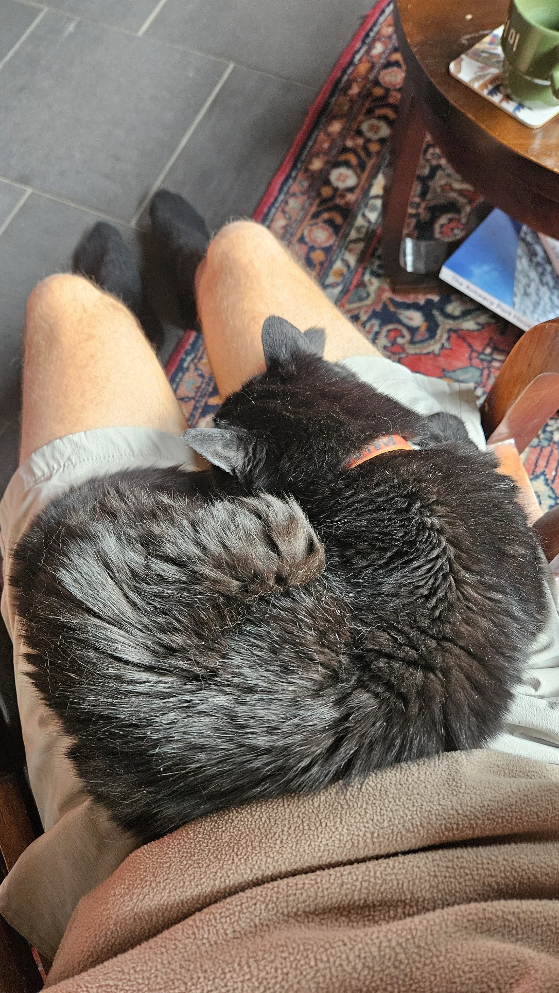 image-7