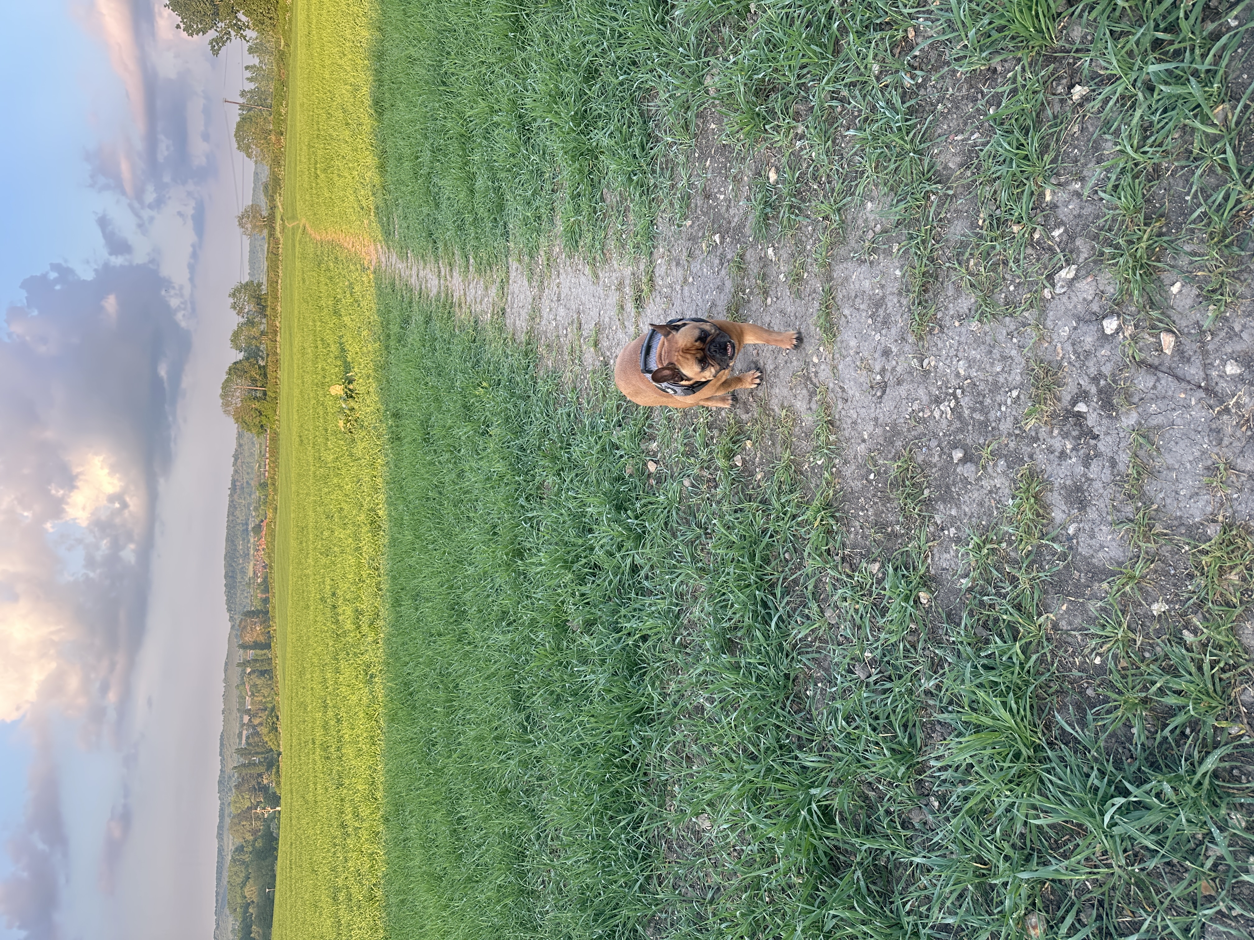 image-8