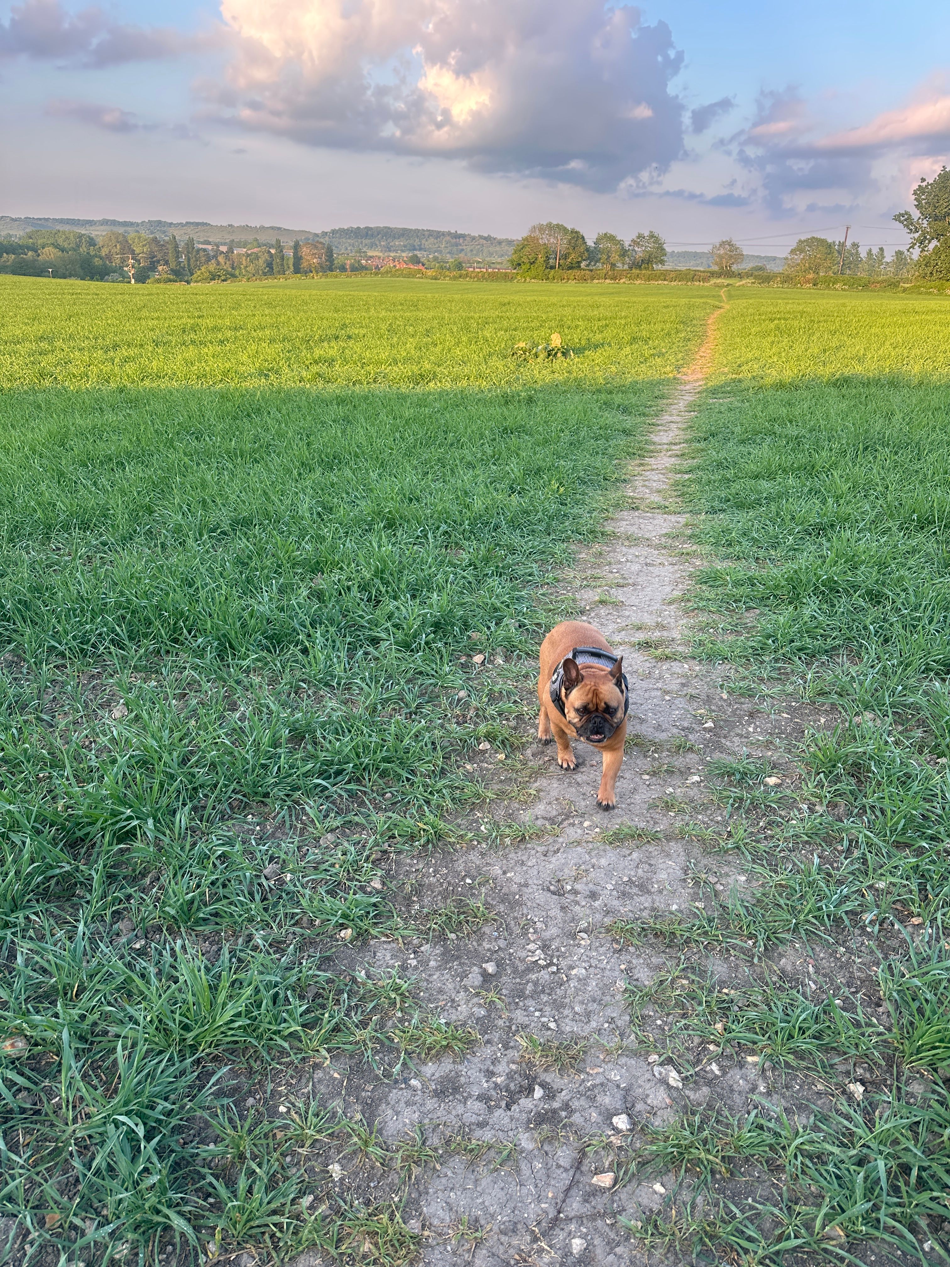 image-8