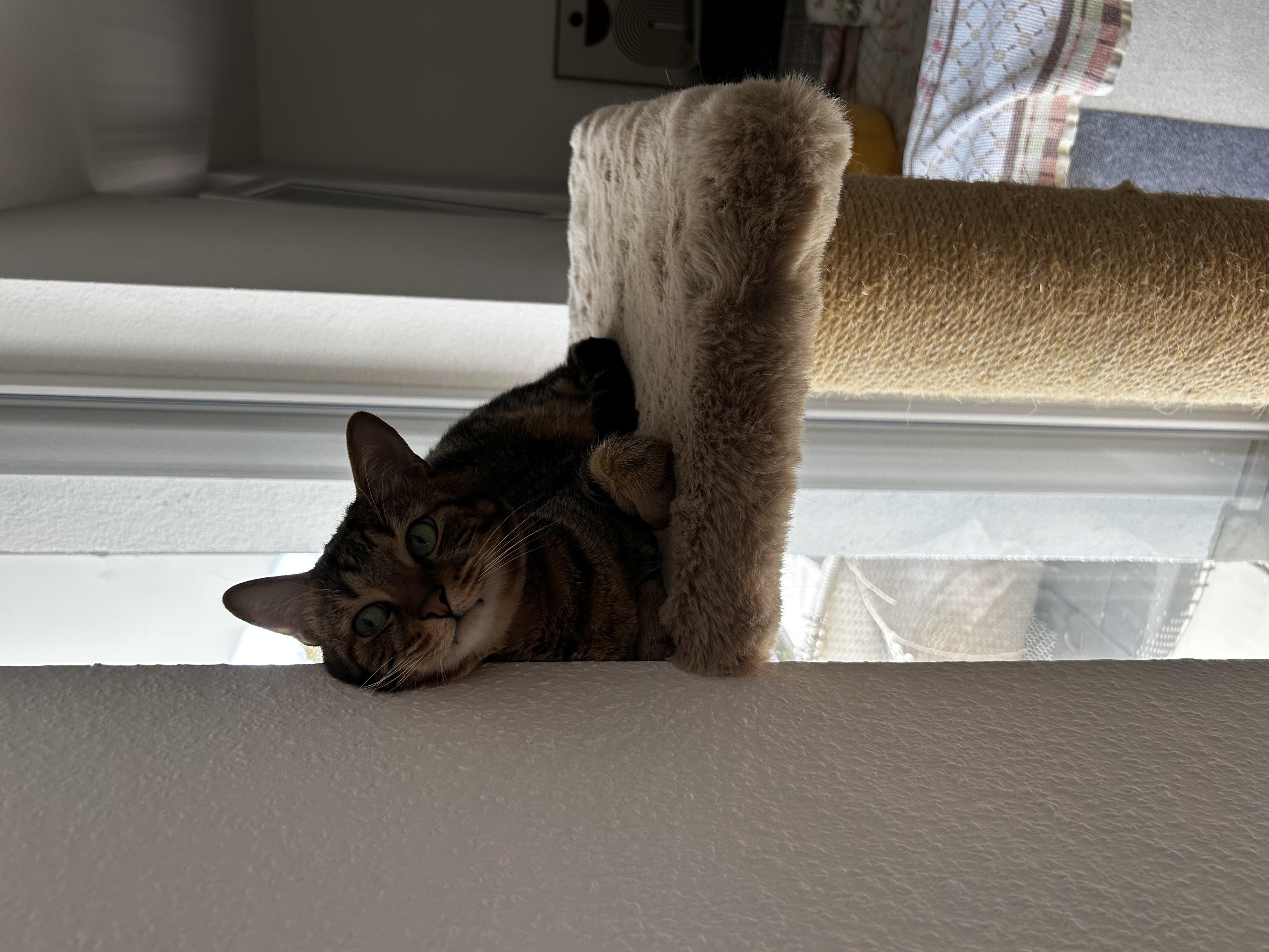 image-11