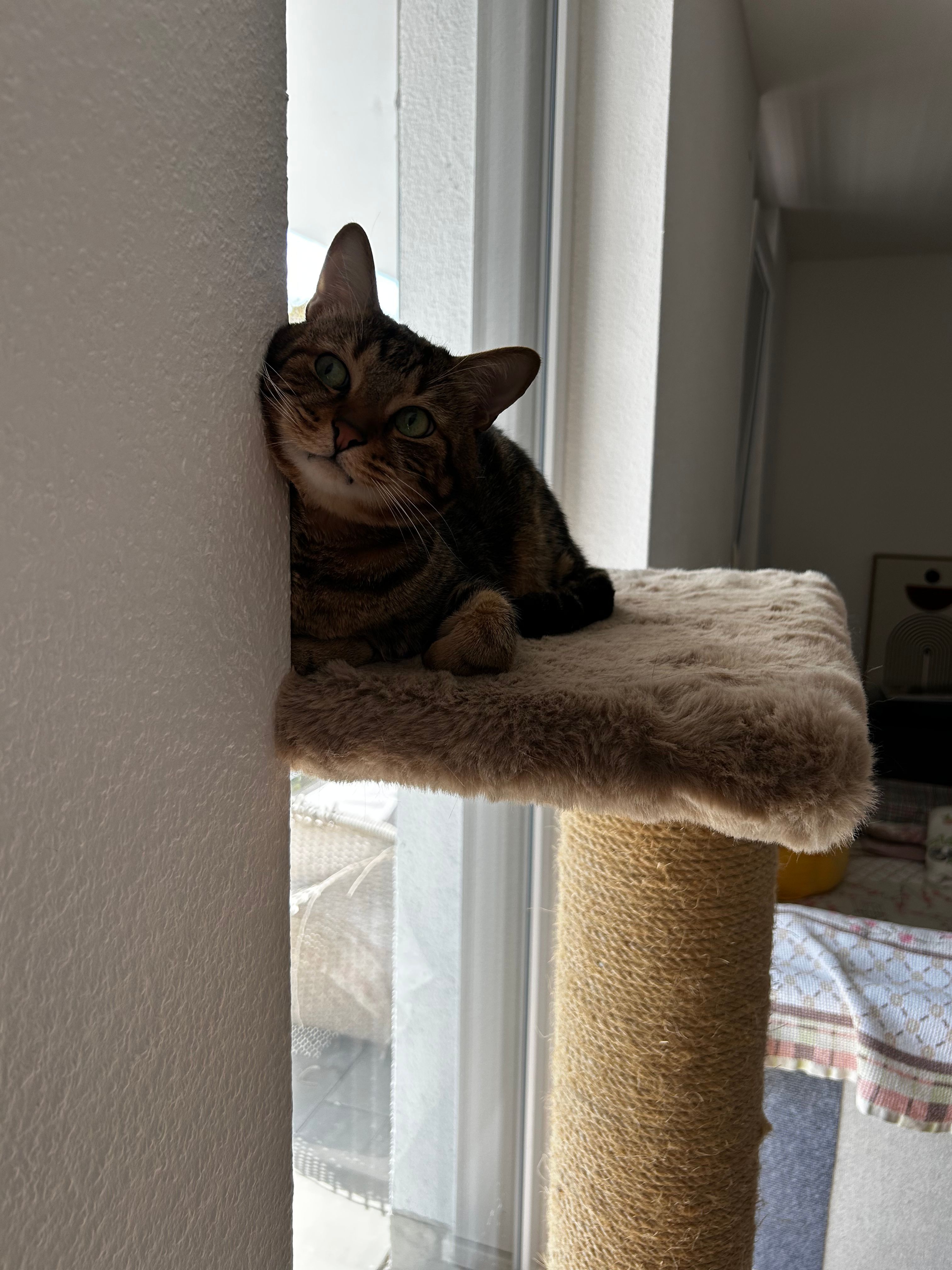 image-11