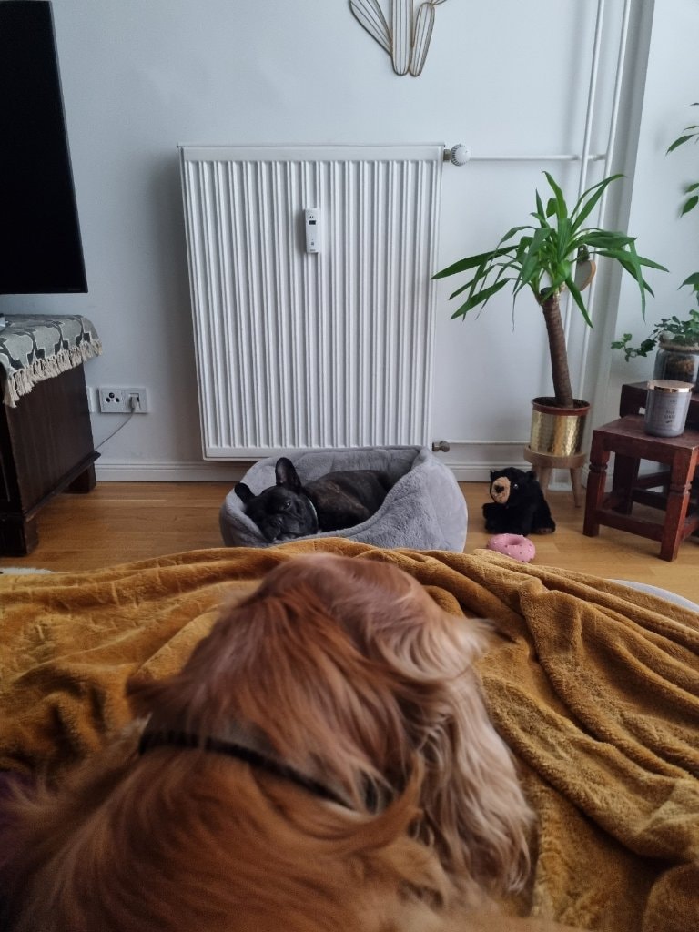 image-14