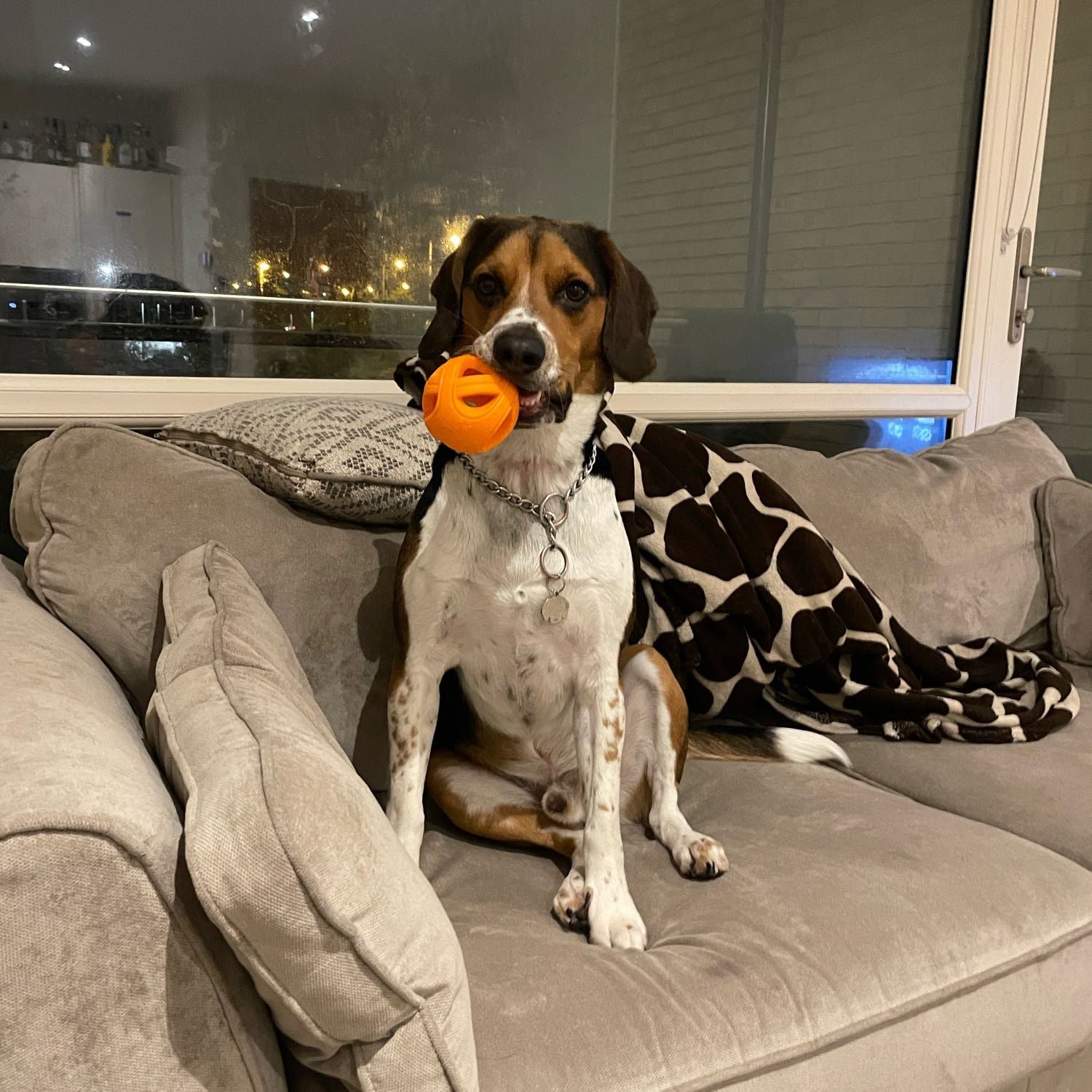 Charlie
