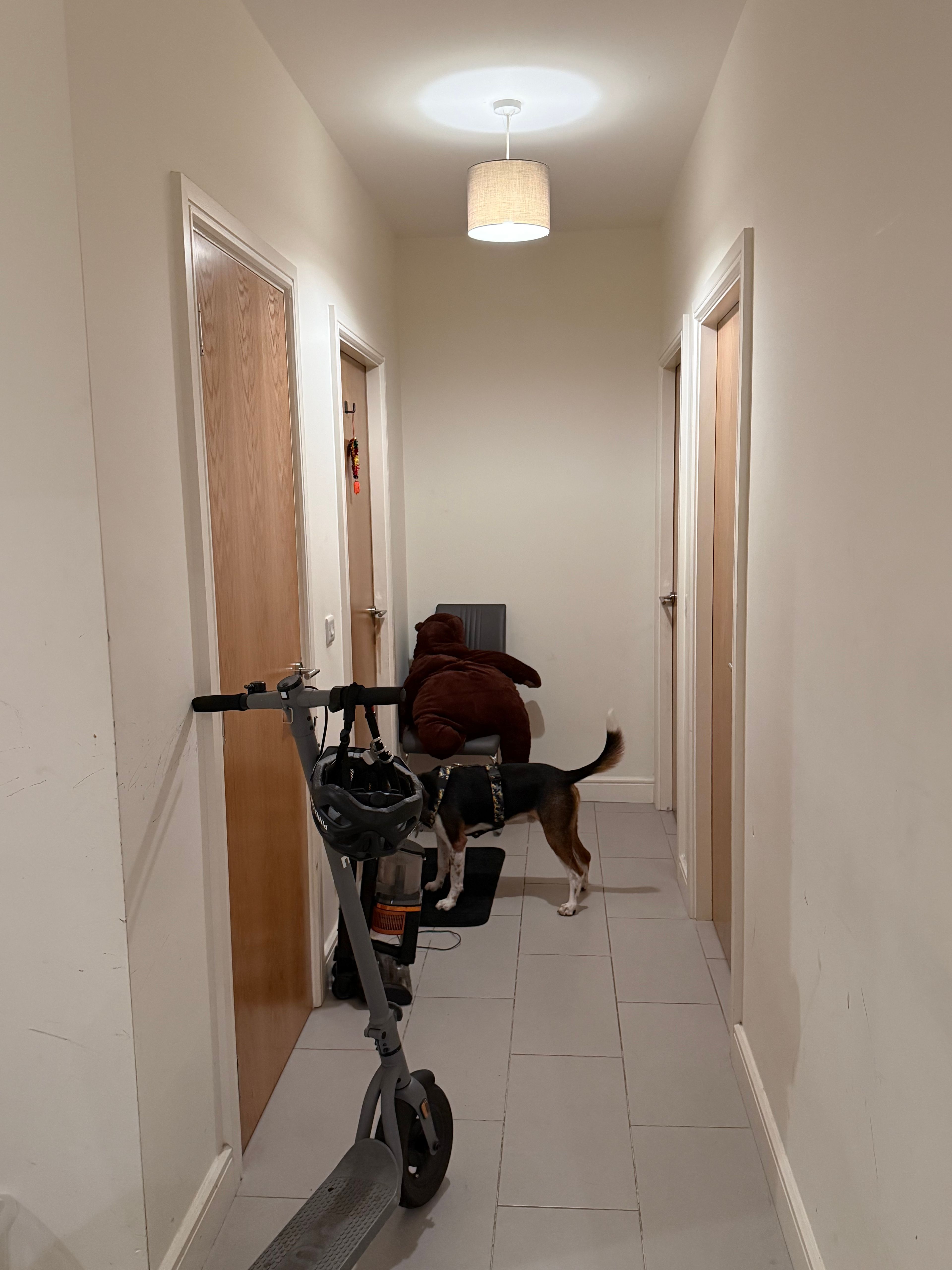 image-16