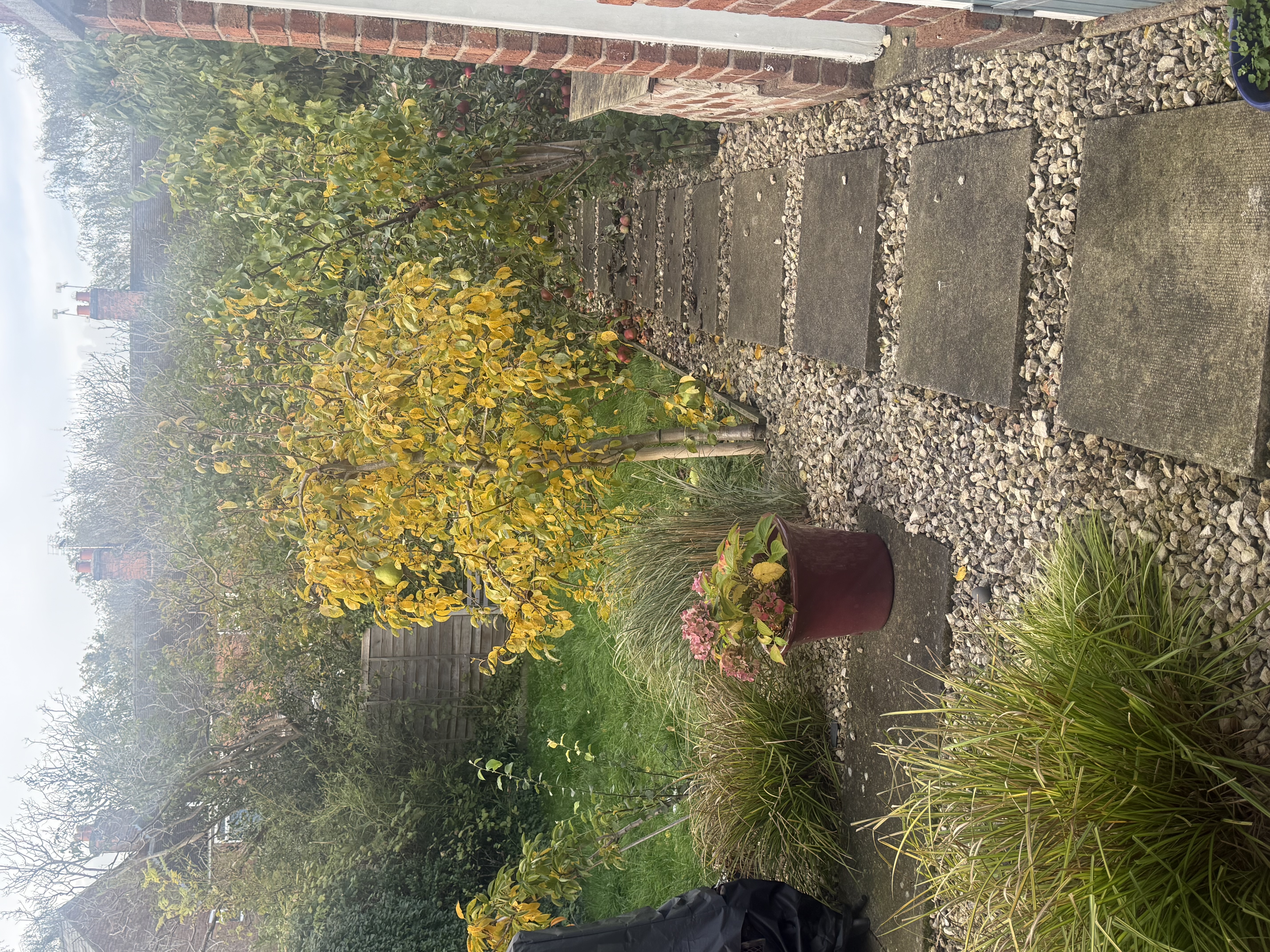 image-20