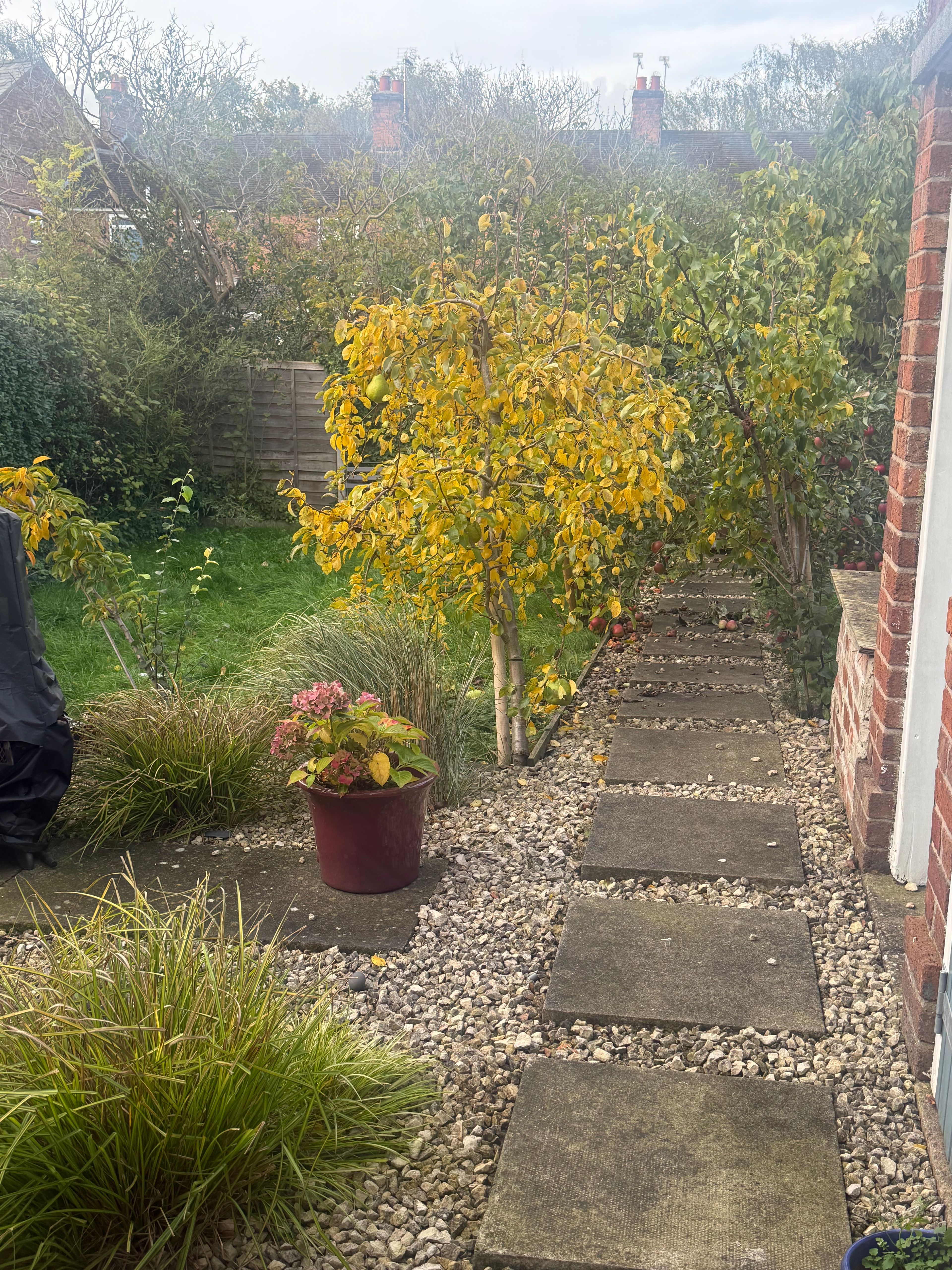 image-20