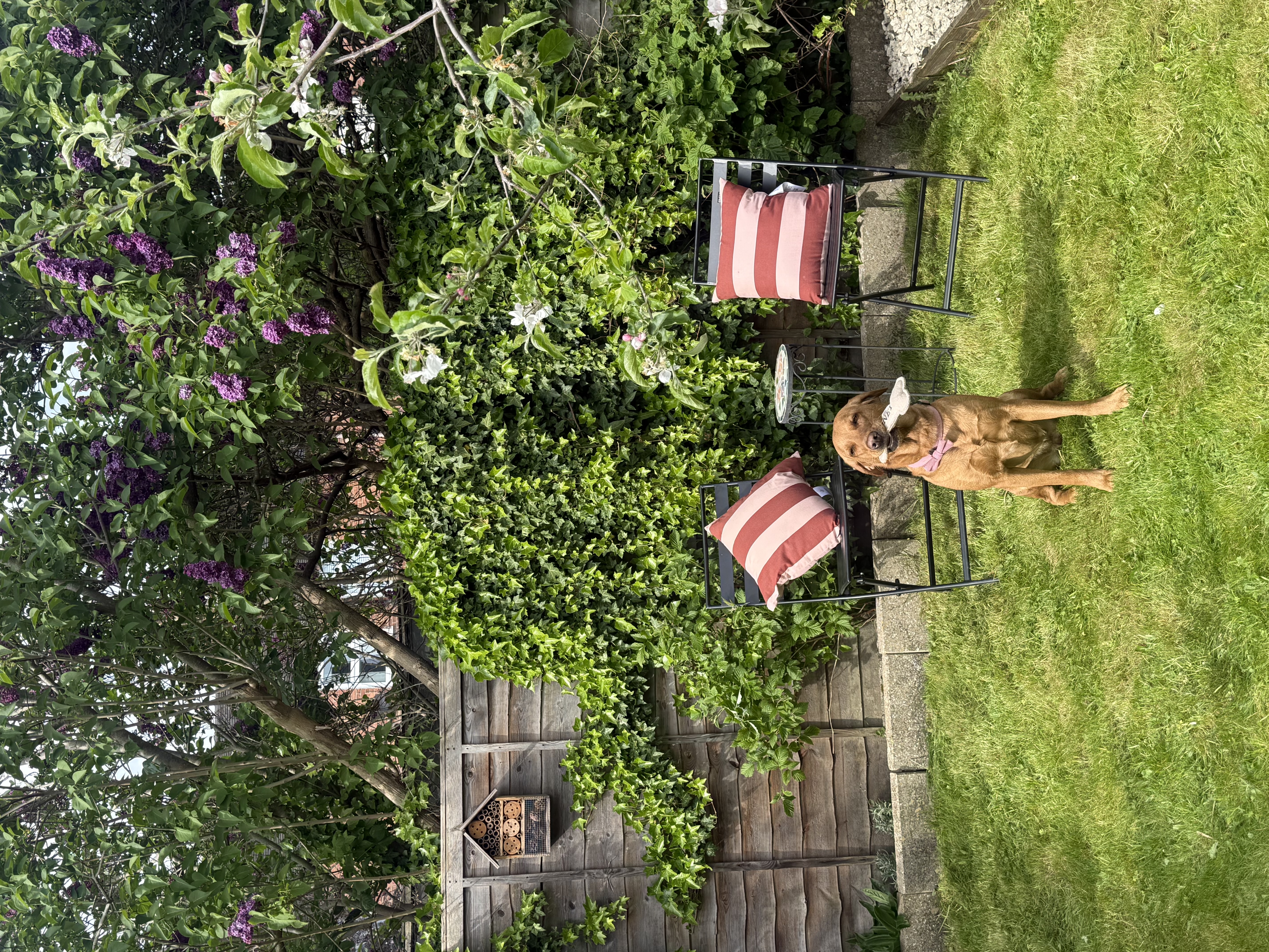 image-13