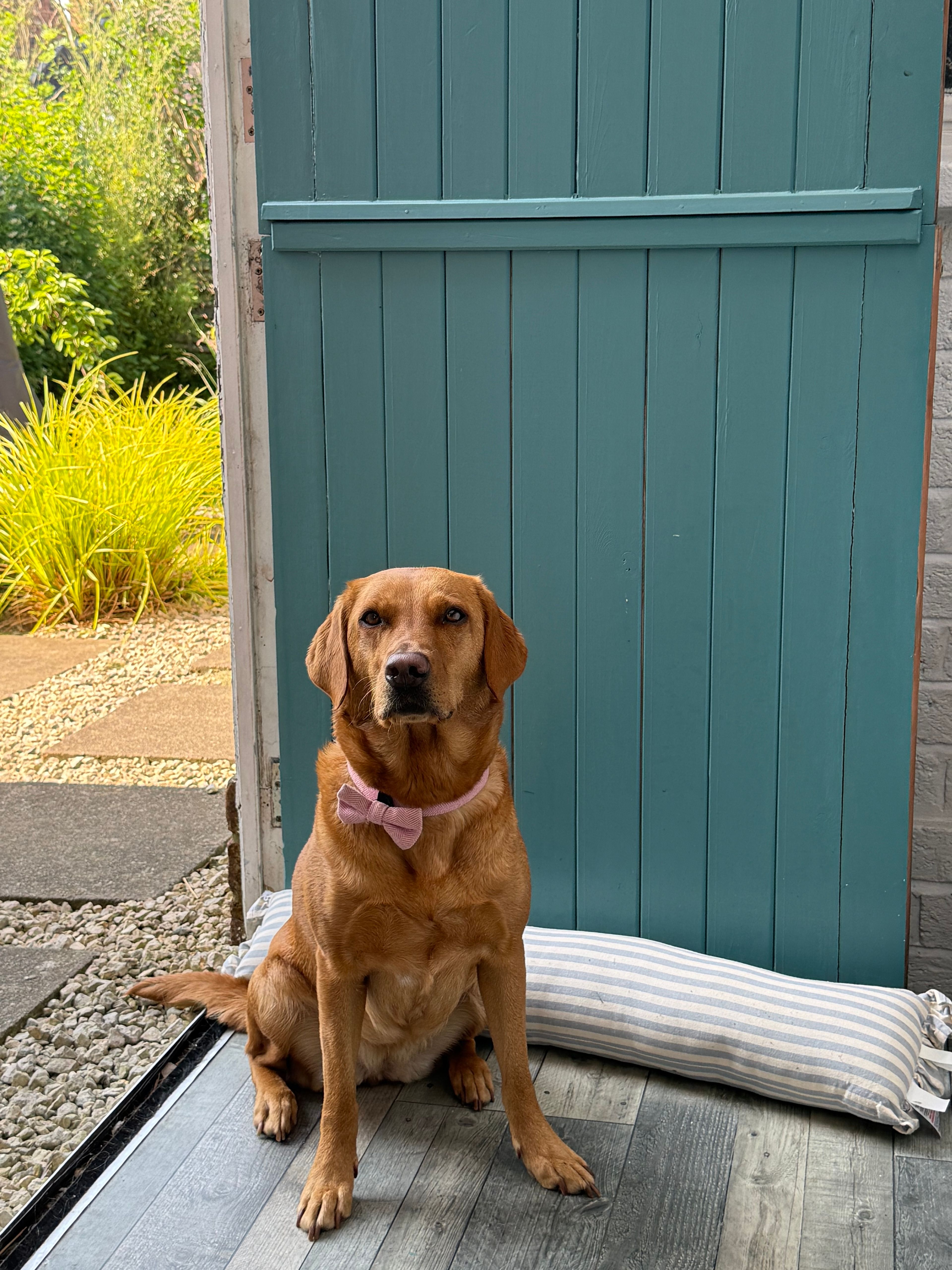 image-10
