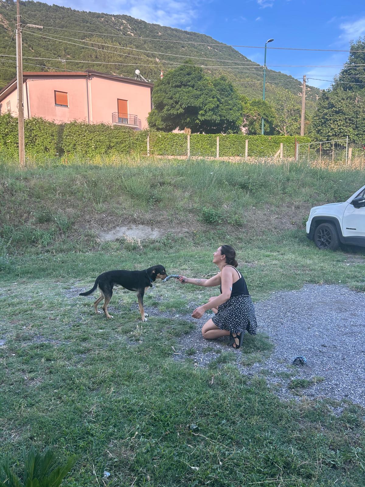 image-8