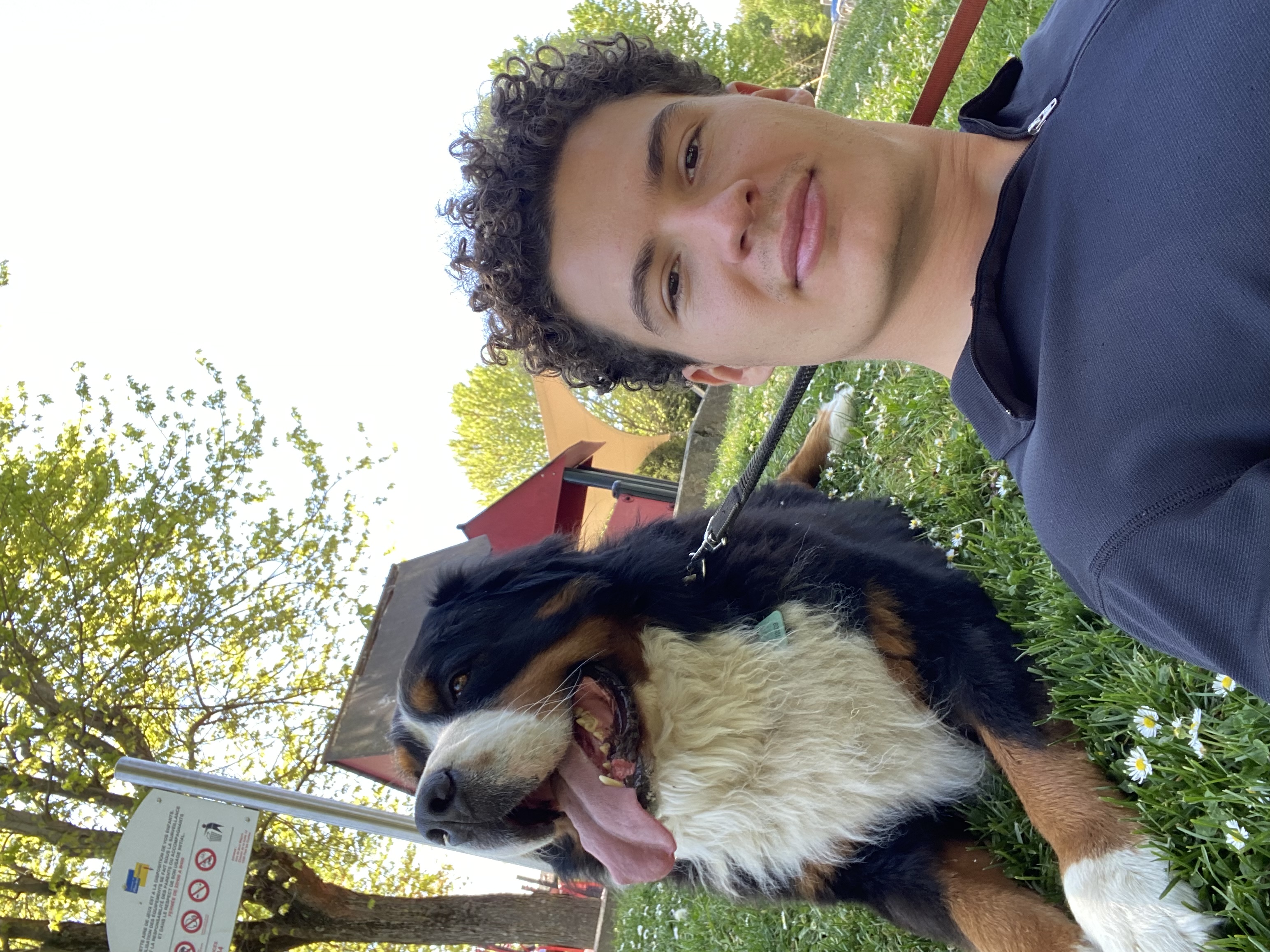 image-6