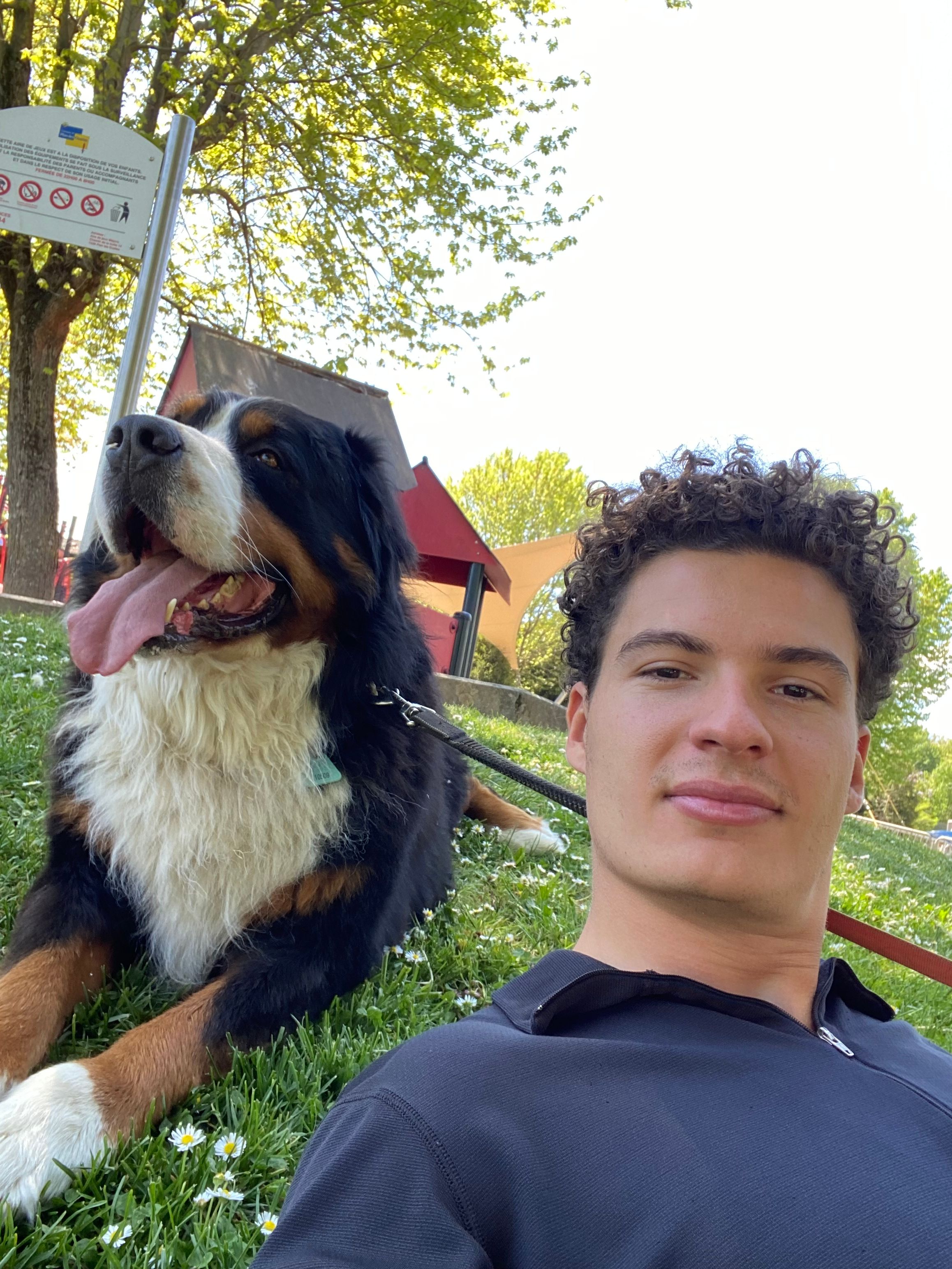 image-6