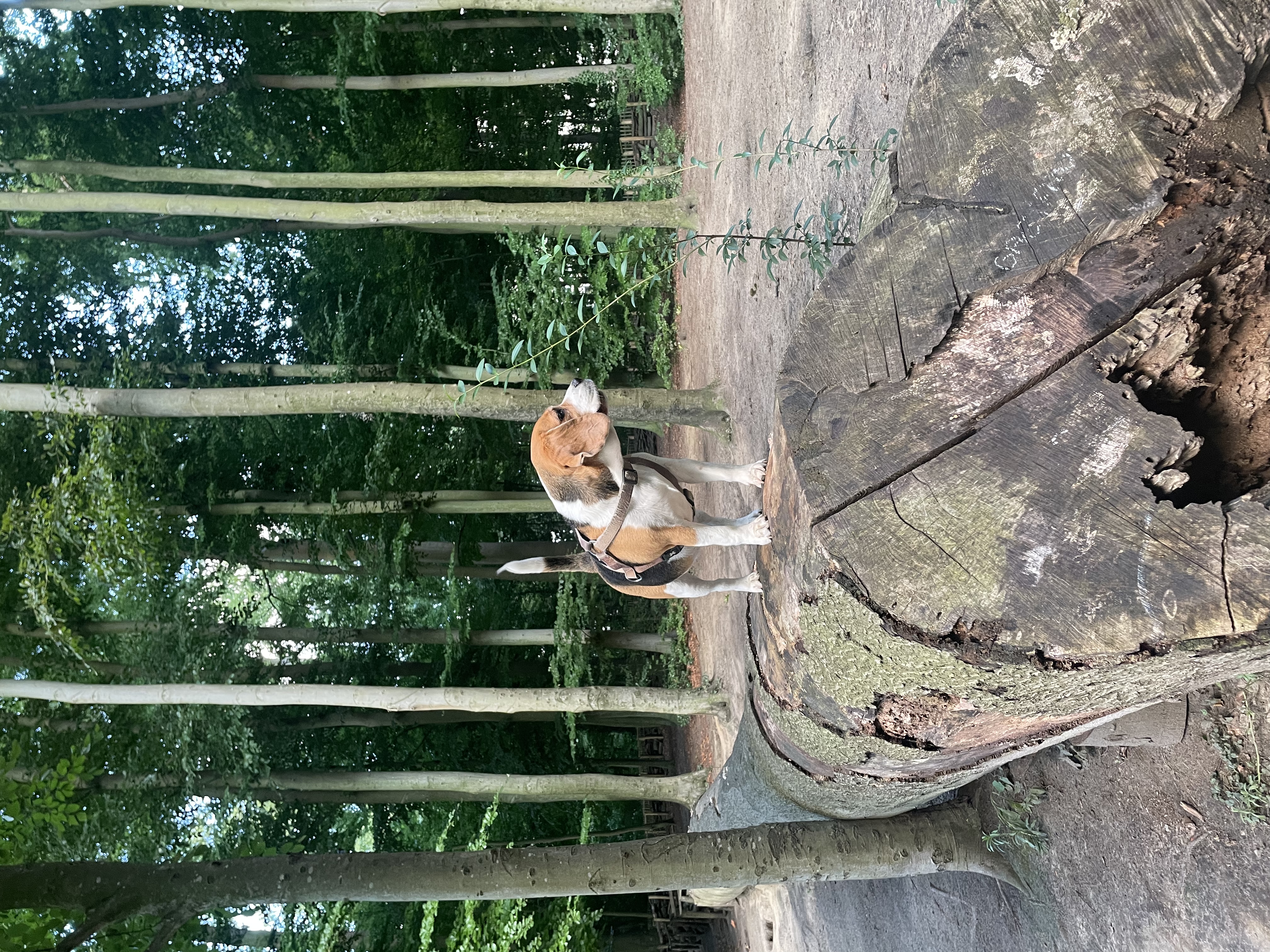 image-20