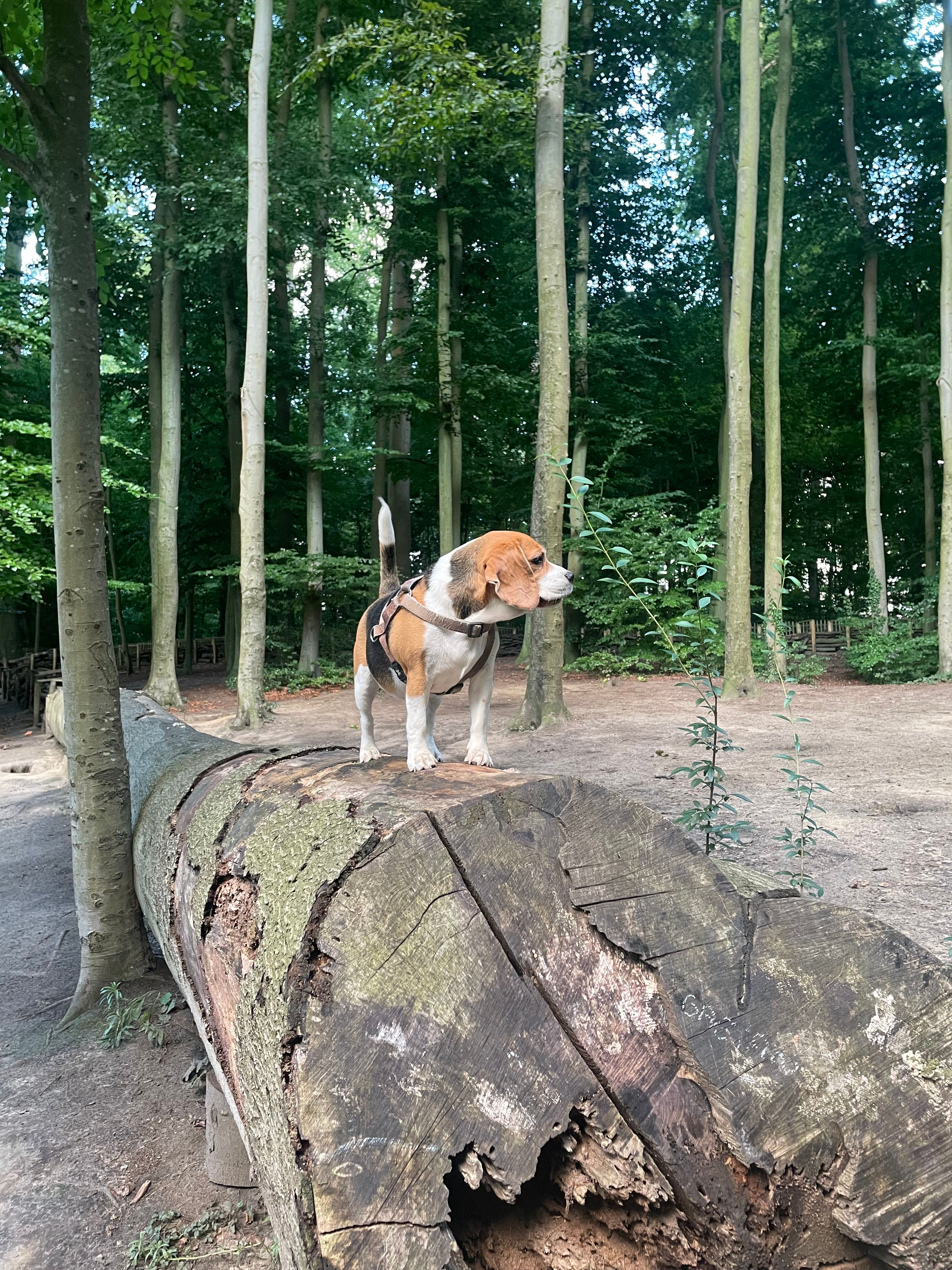 image-20