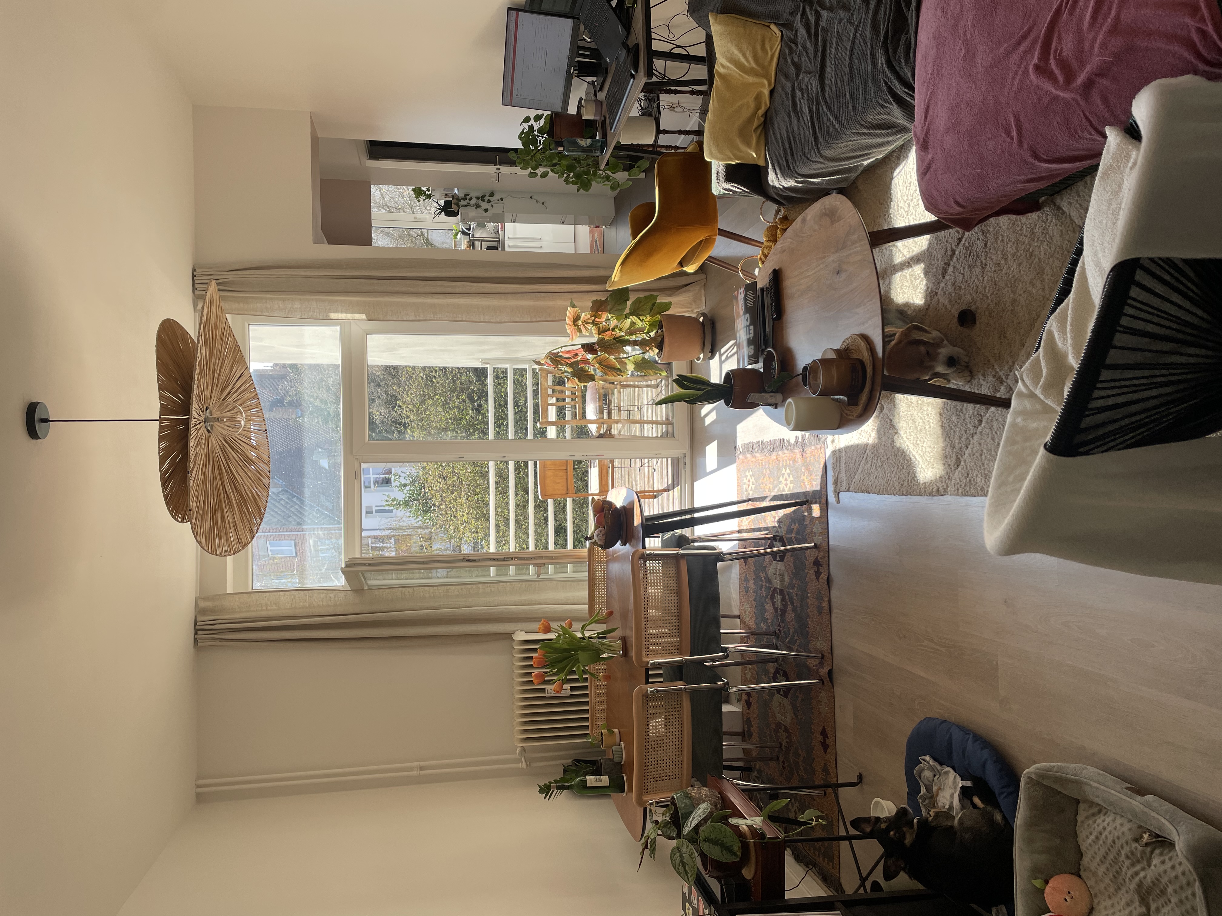 image-16