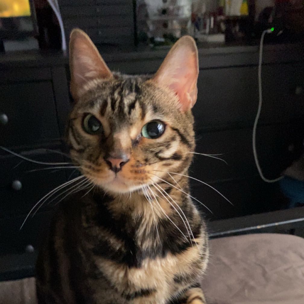Dexter