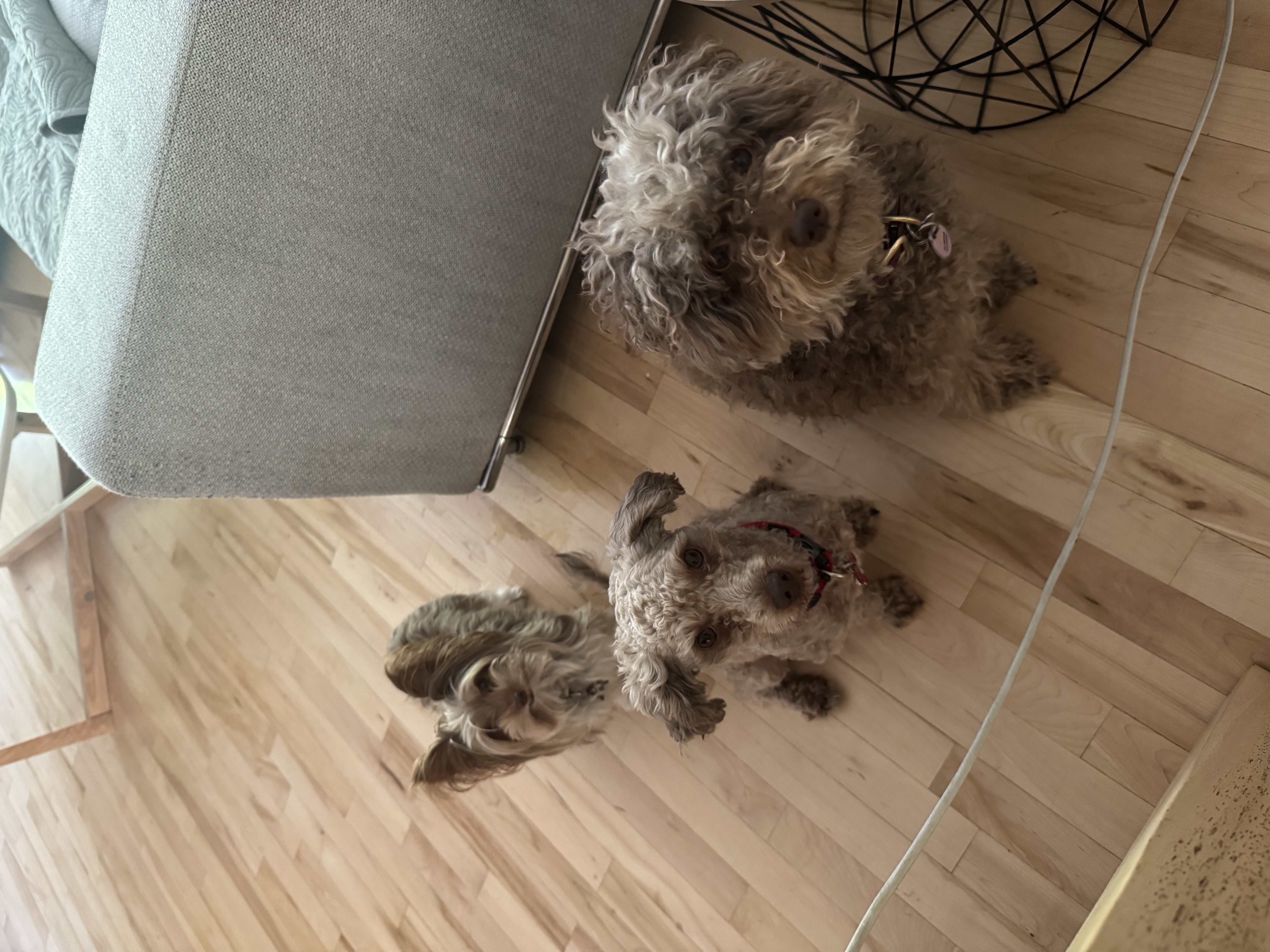 image-11