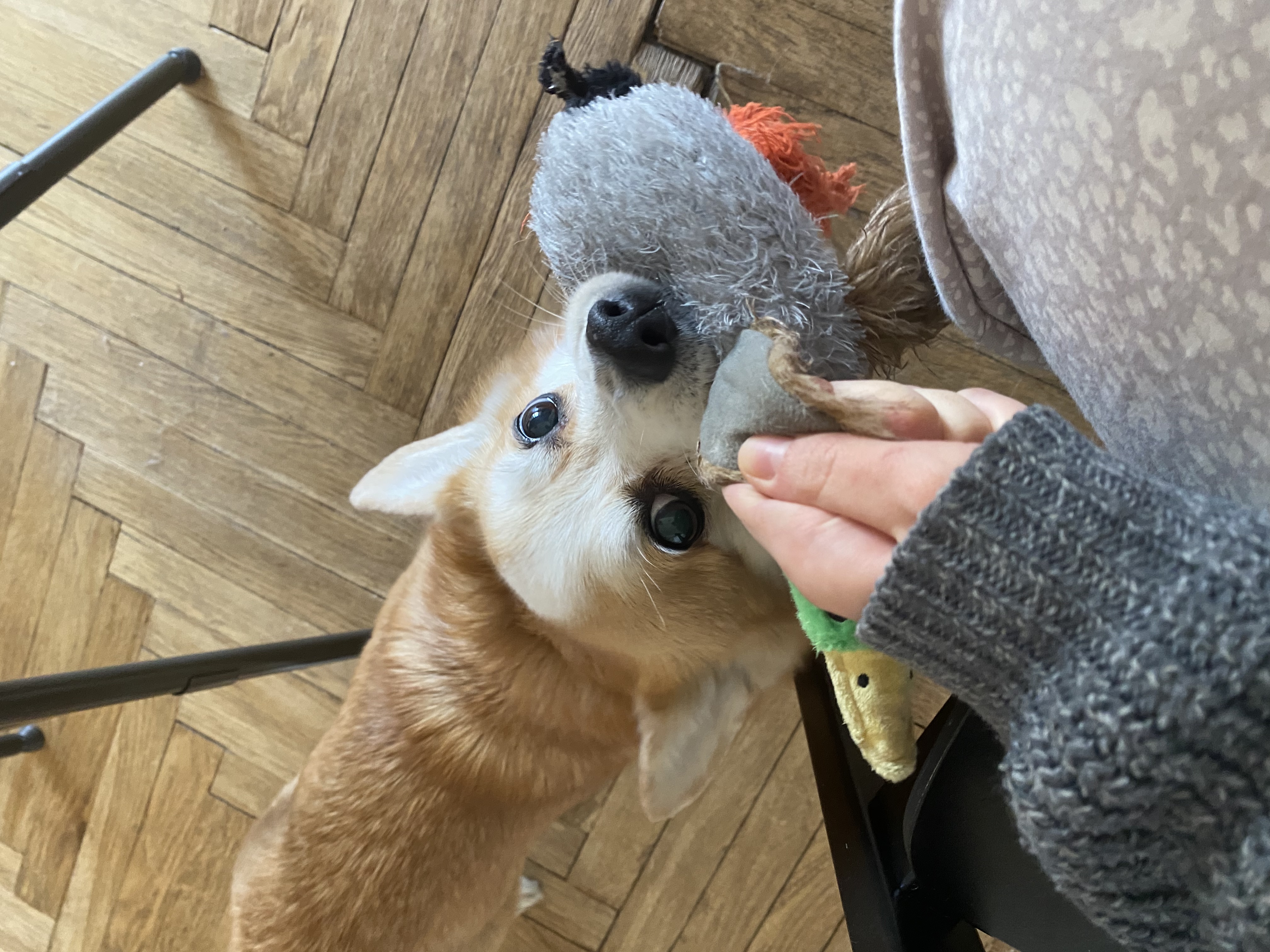 image-6