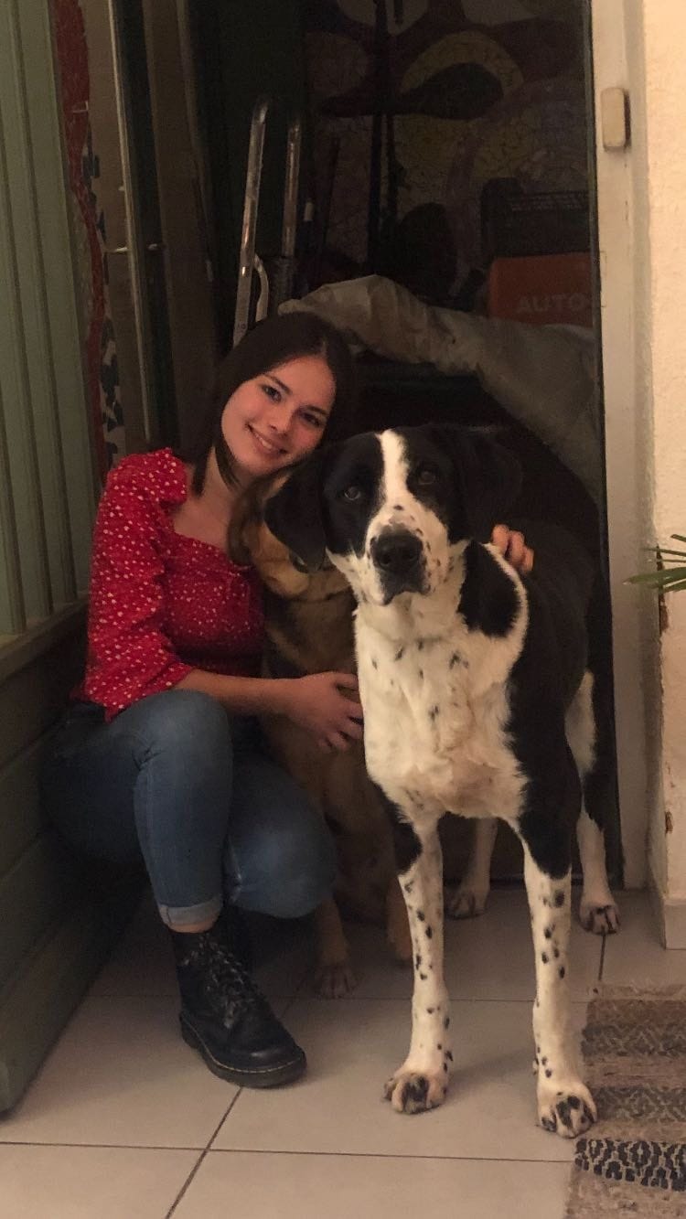 image-1