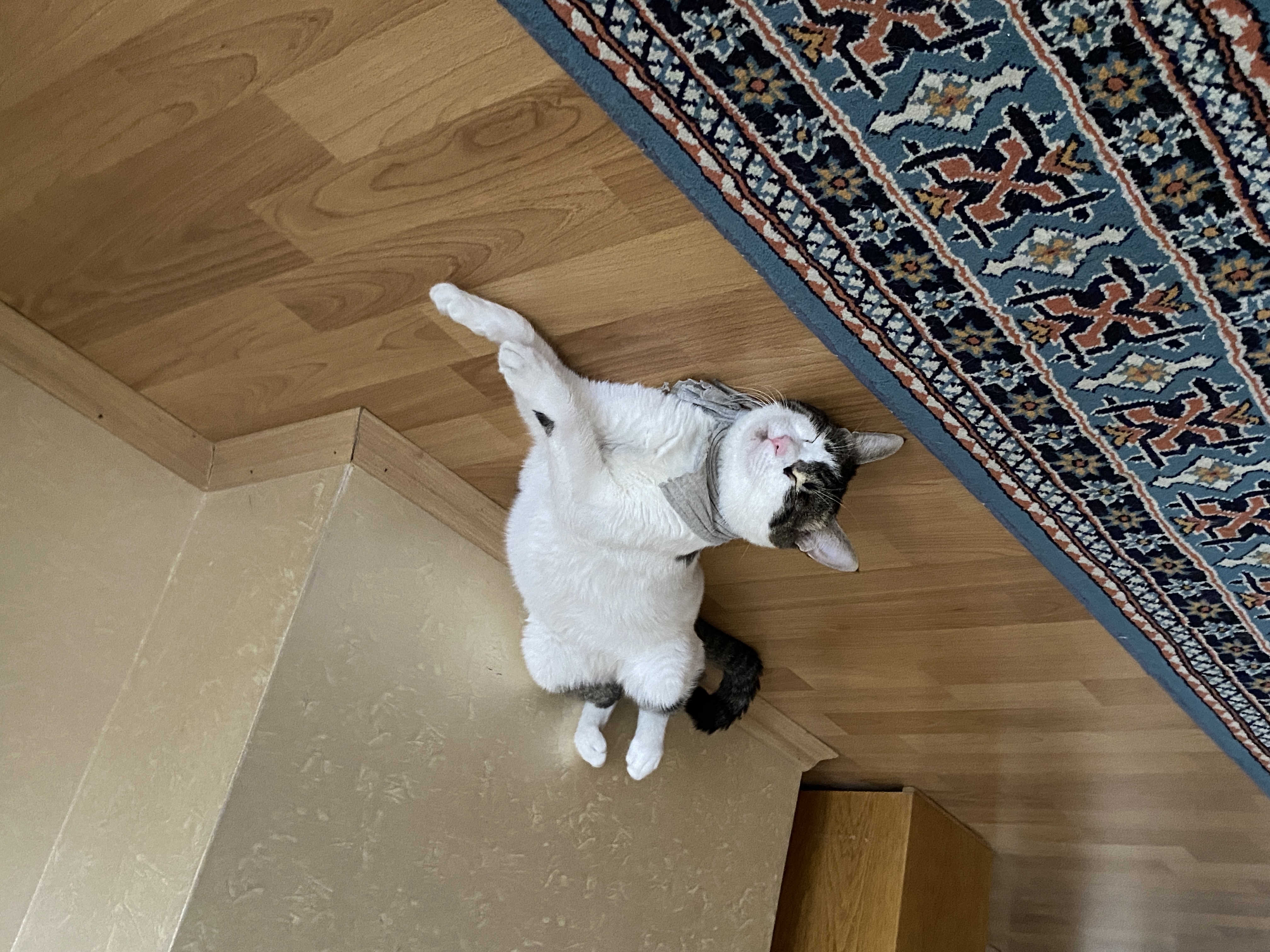 image-11