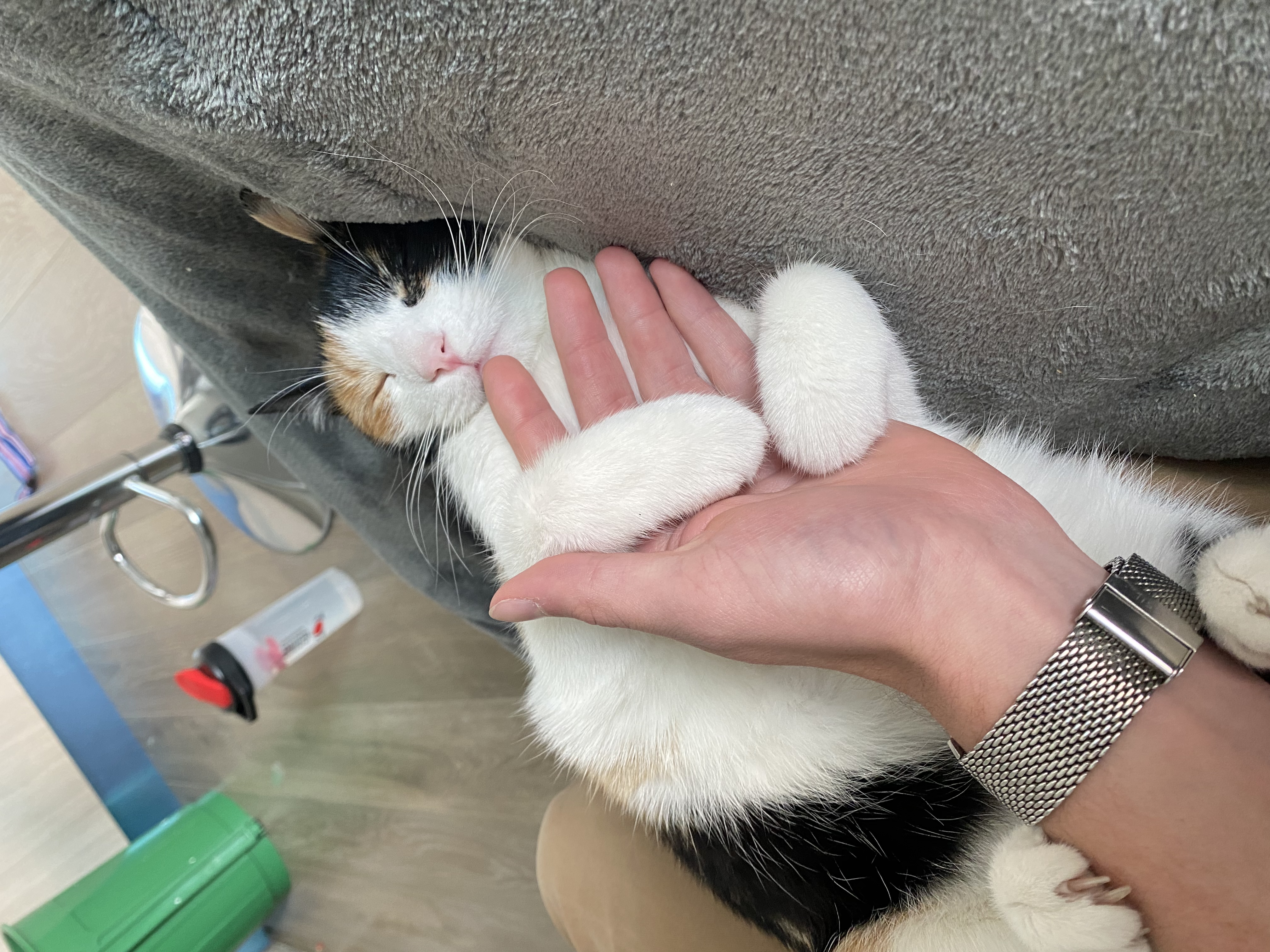 image-6