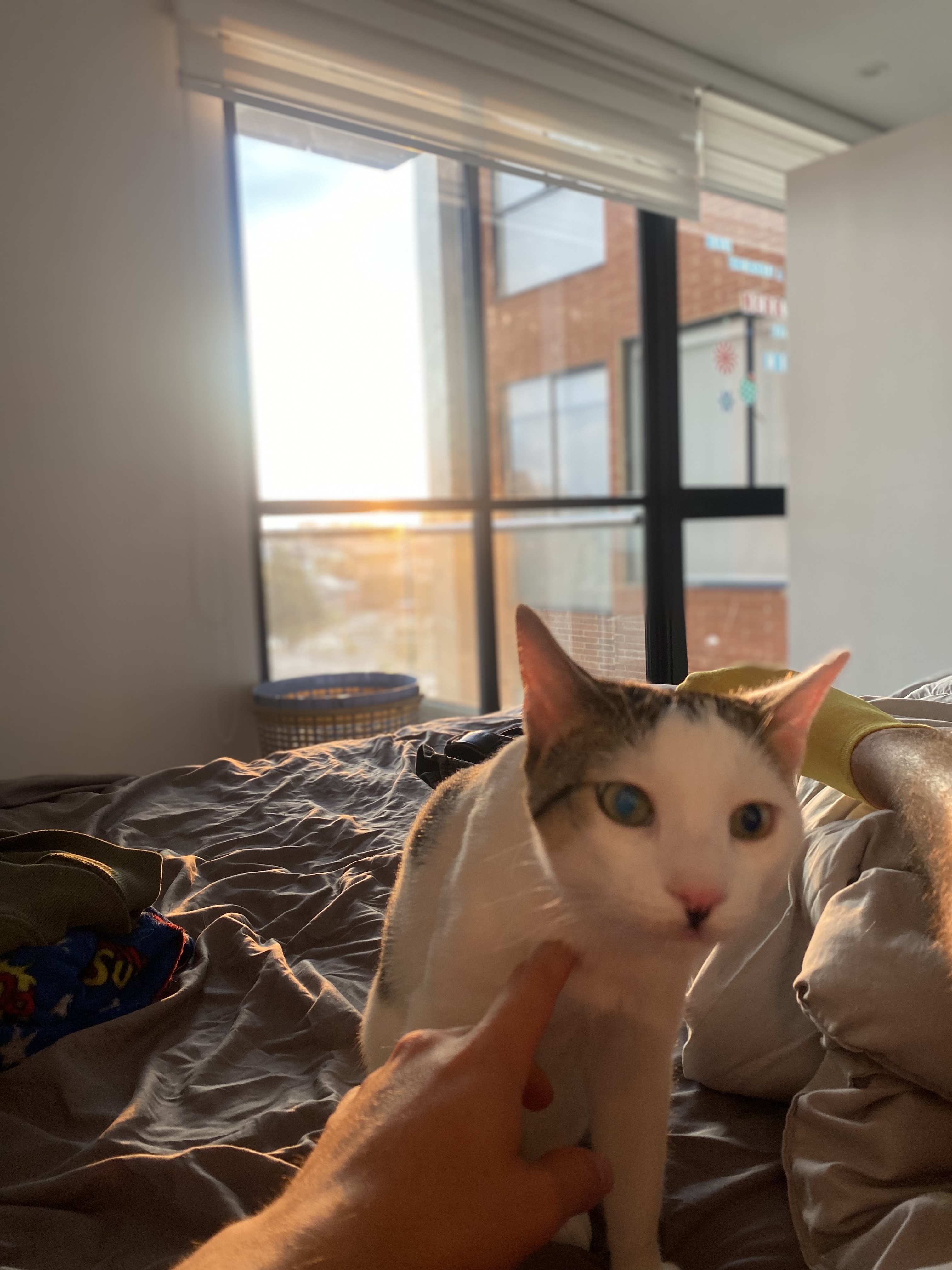 image-12