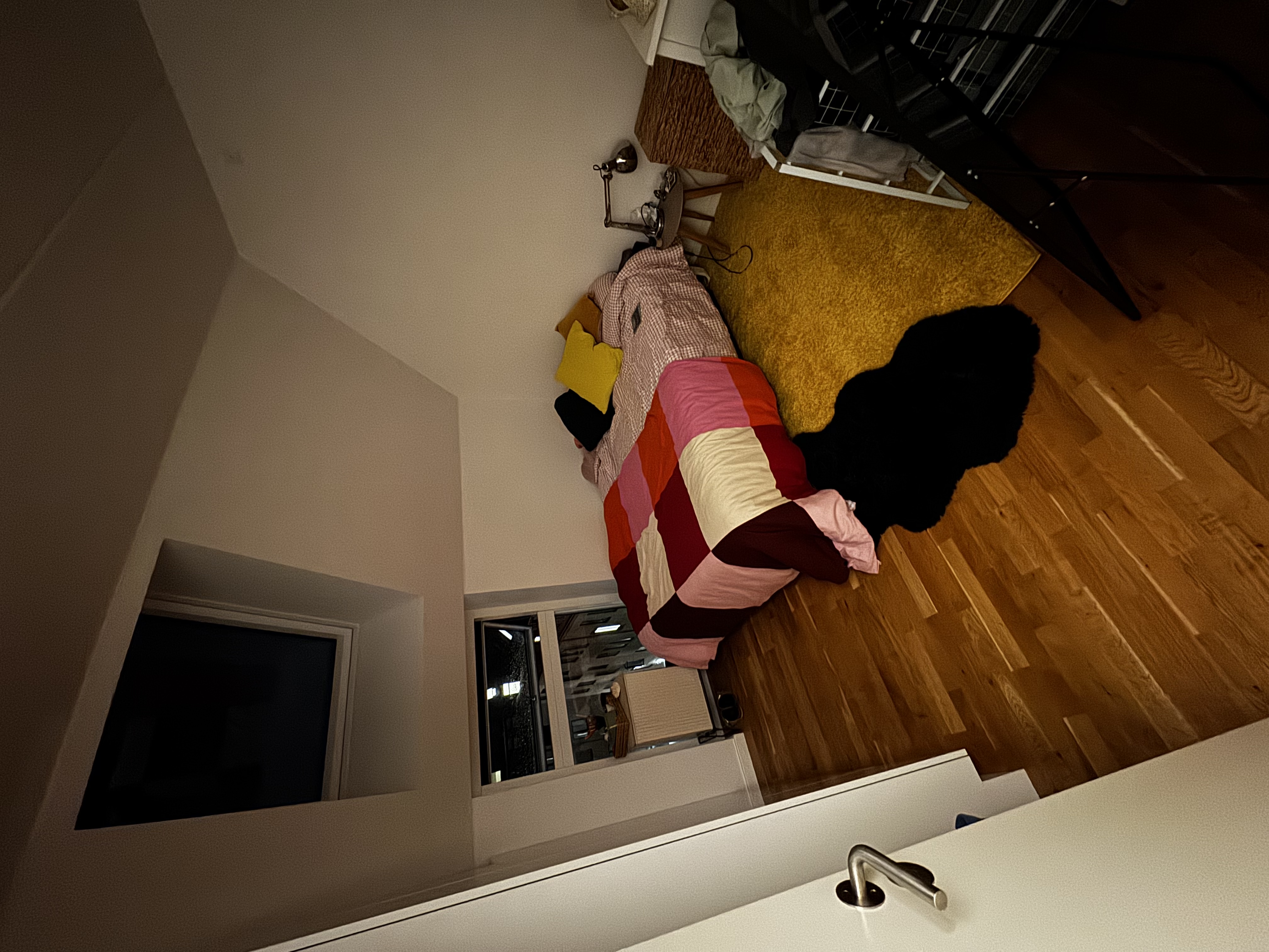 image-12