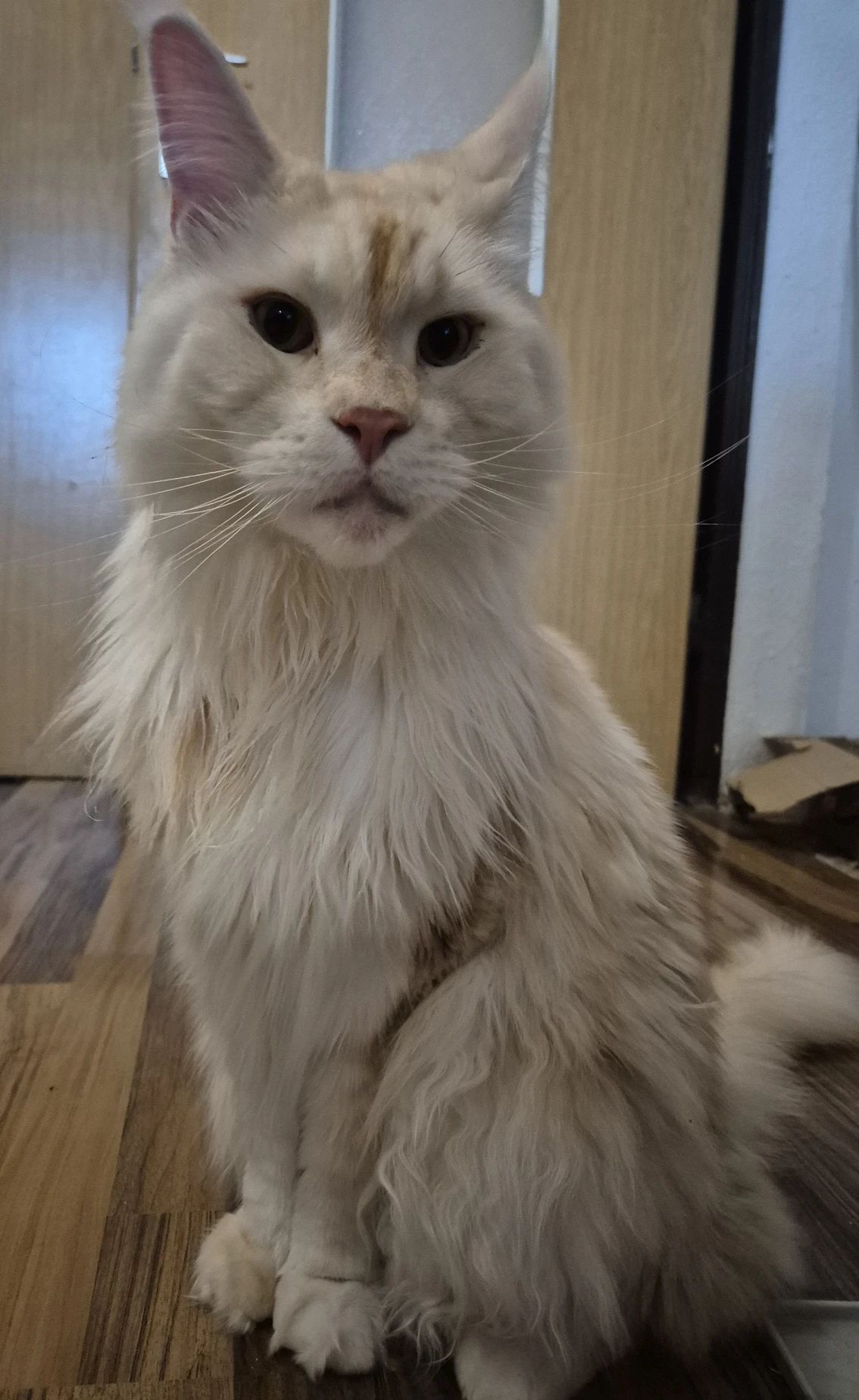 image-13
