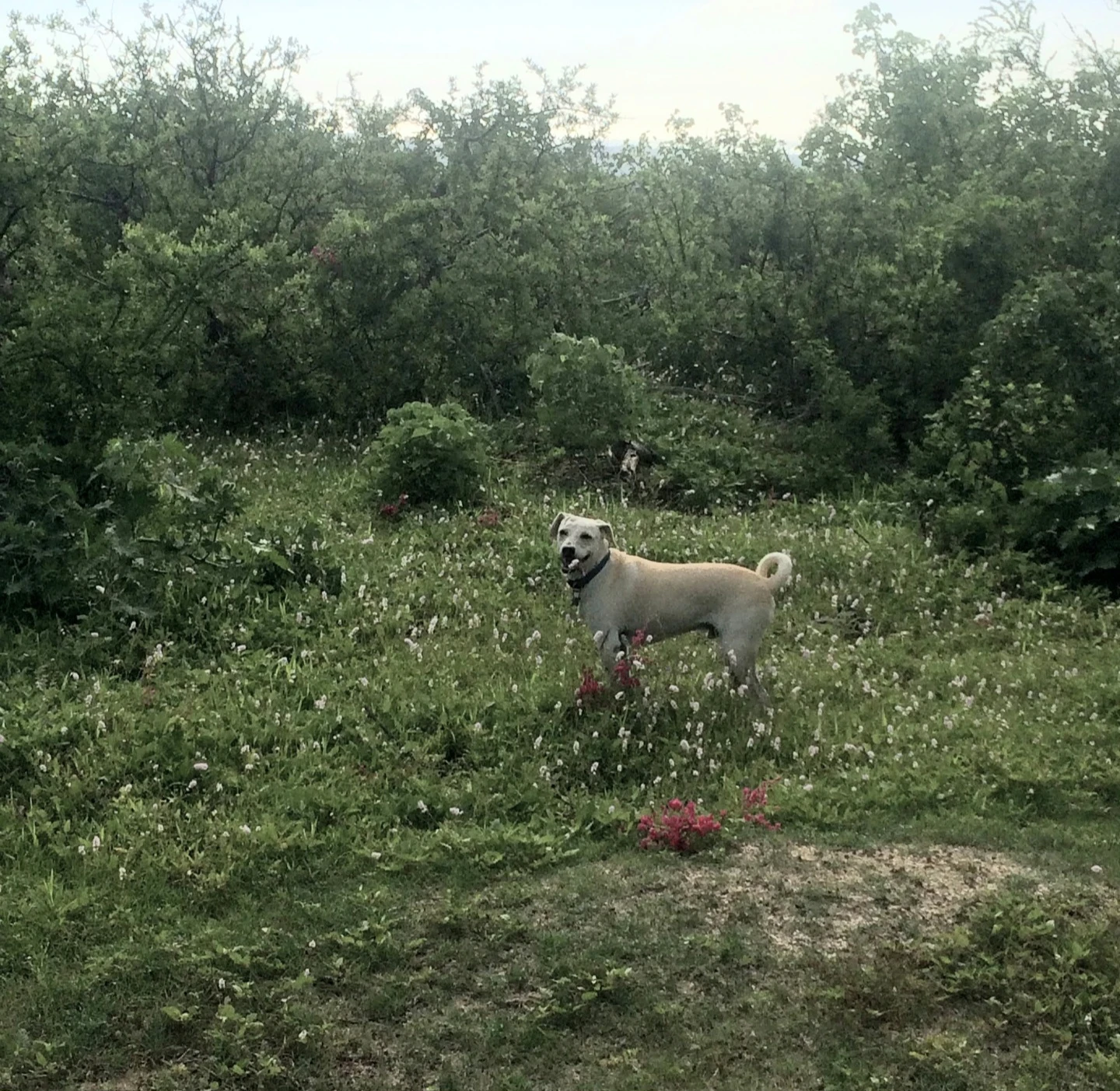 image-9