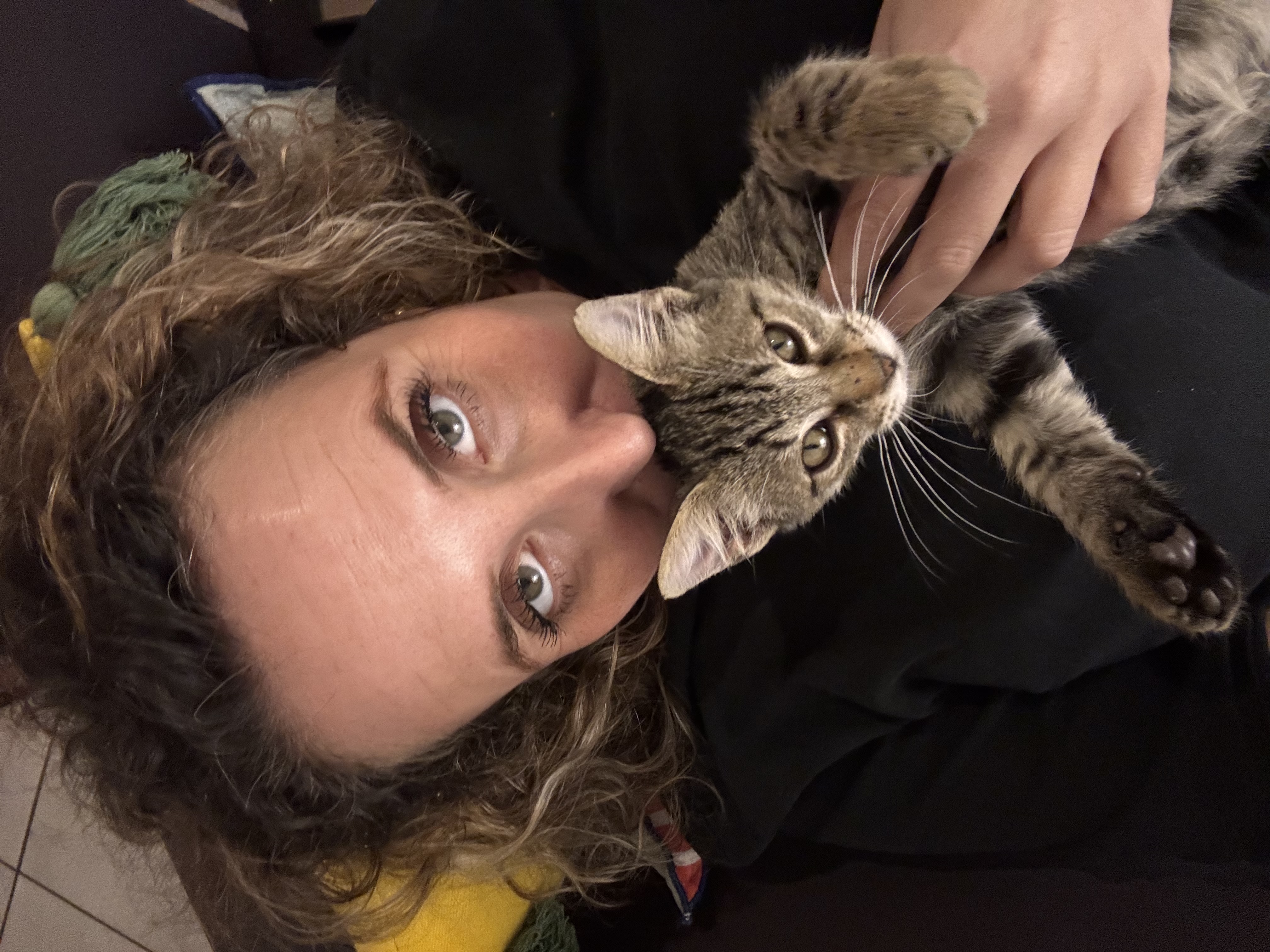 image-2